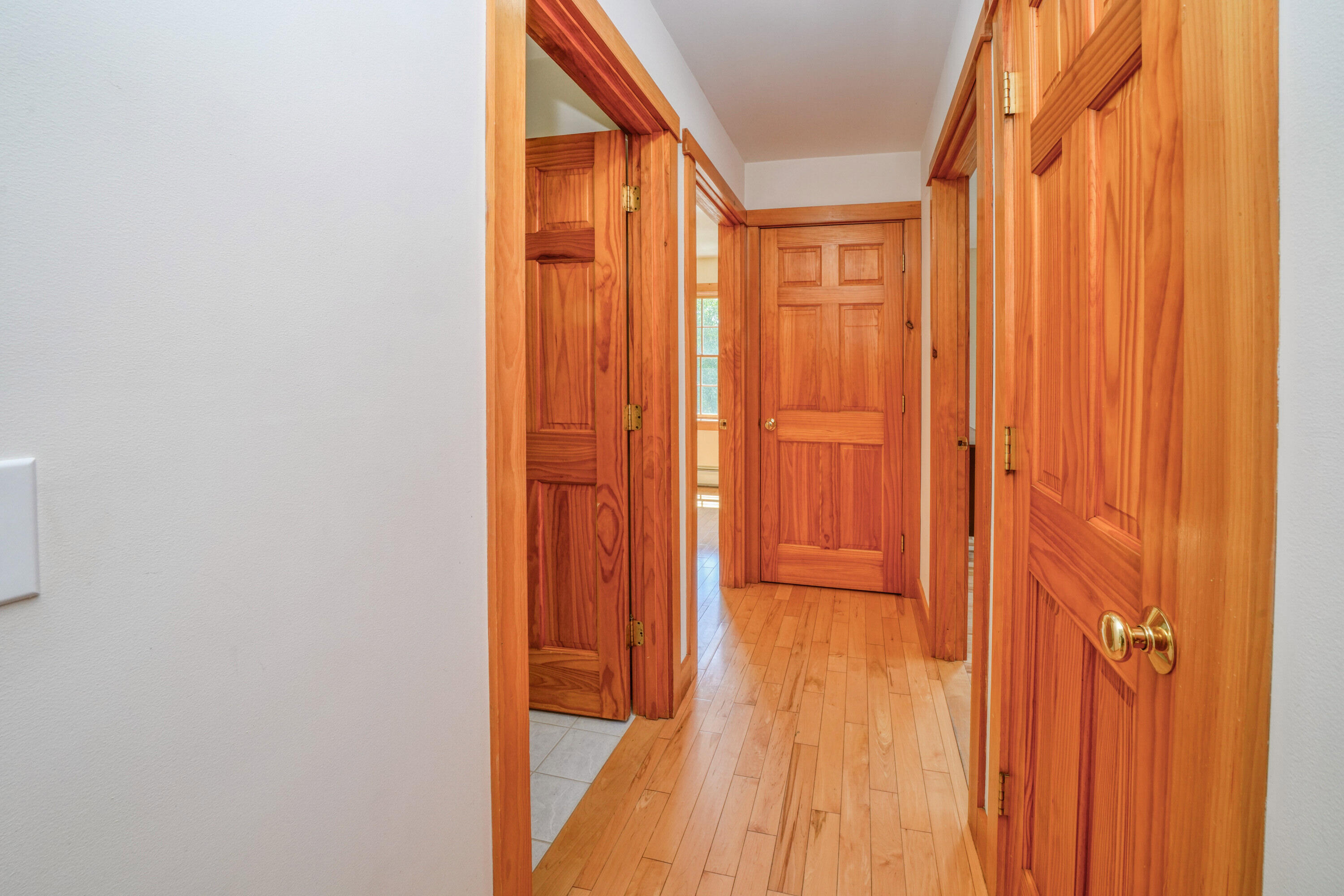 47 Forest Hill Property Photo 30