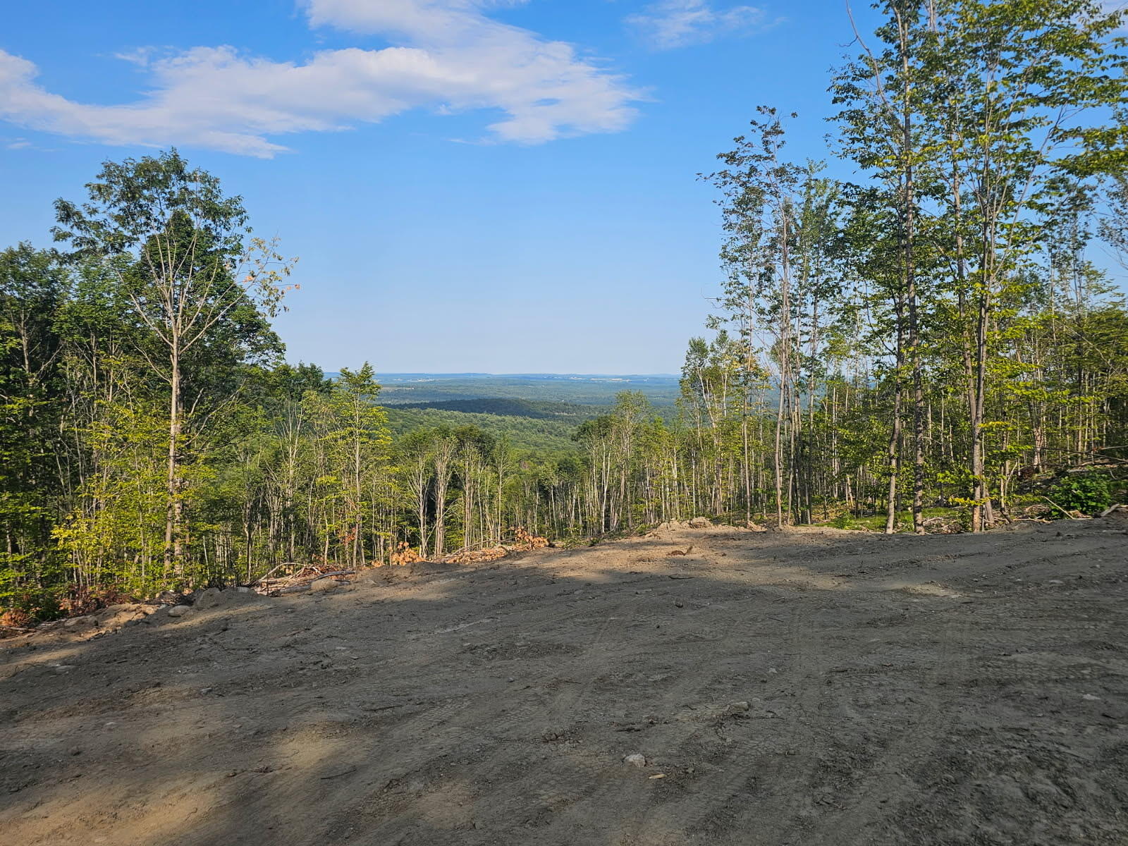 50a Mcalister Road Property Photo 1