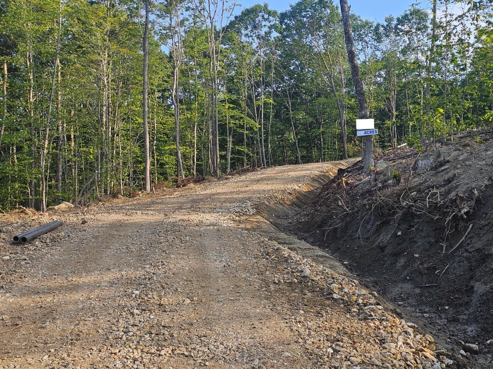 50a Mcalister Road Property Photo 2