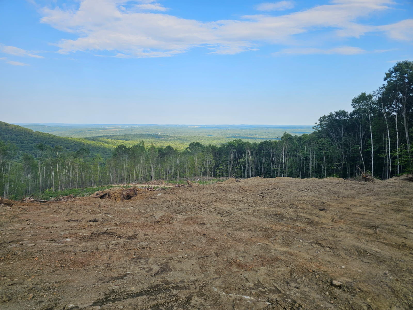 50a Mcalister Road Property Photo 5