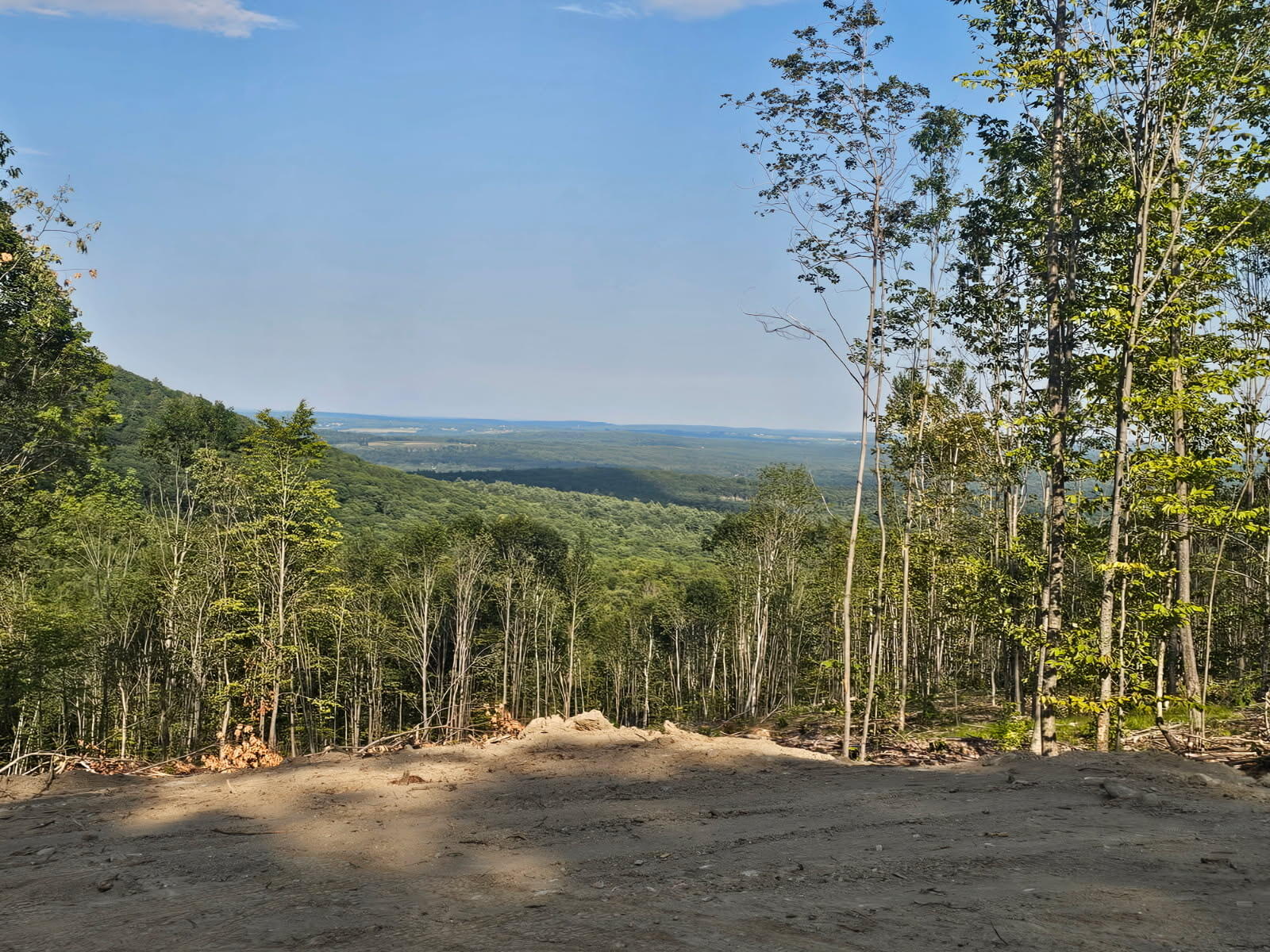 53A McAlister Road Property Photo 1
