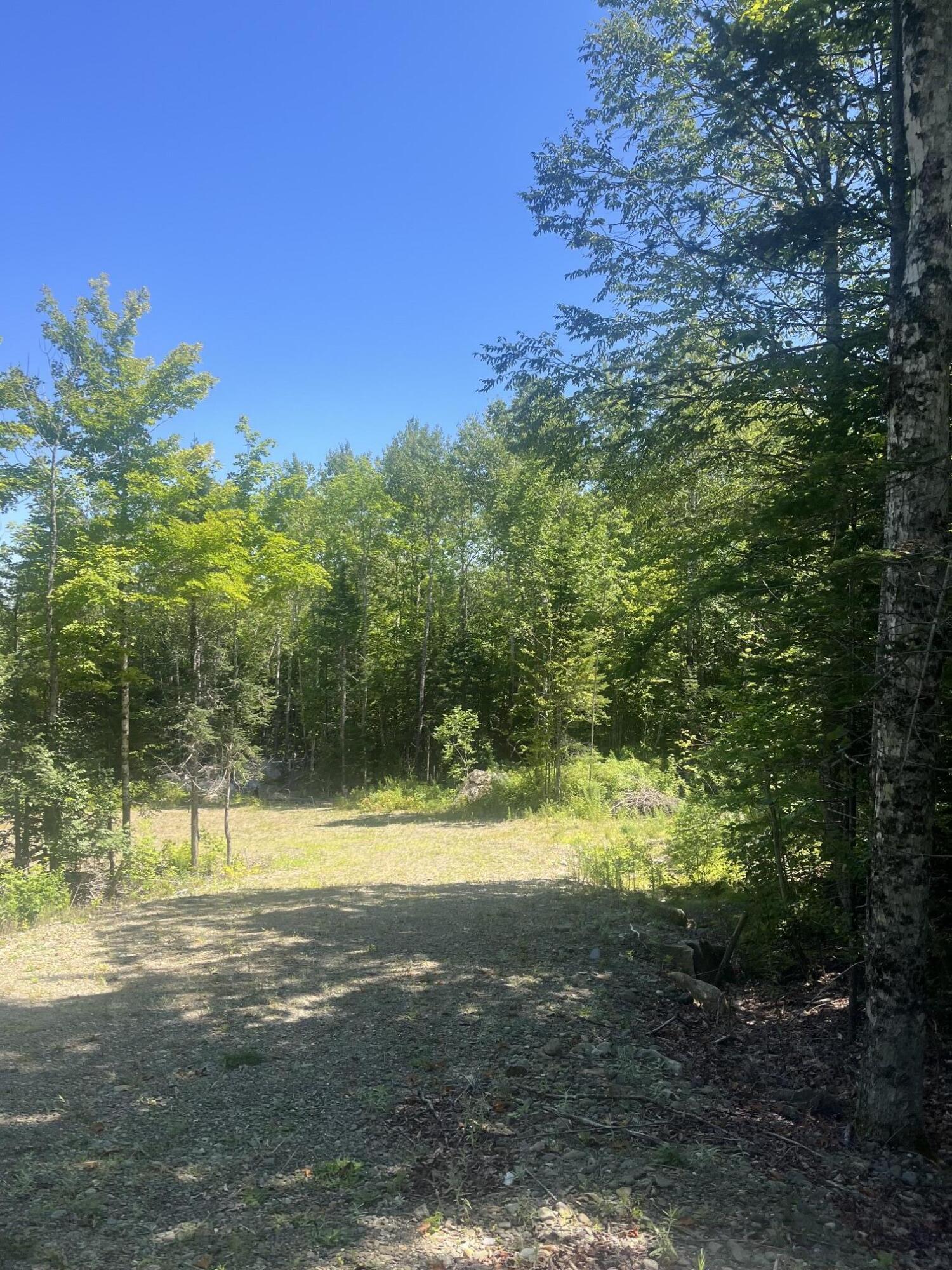 Lot 23.3 Forest City Road Property Photo 1