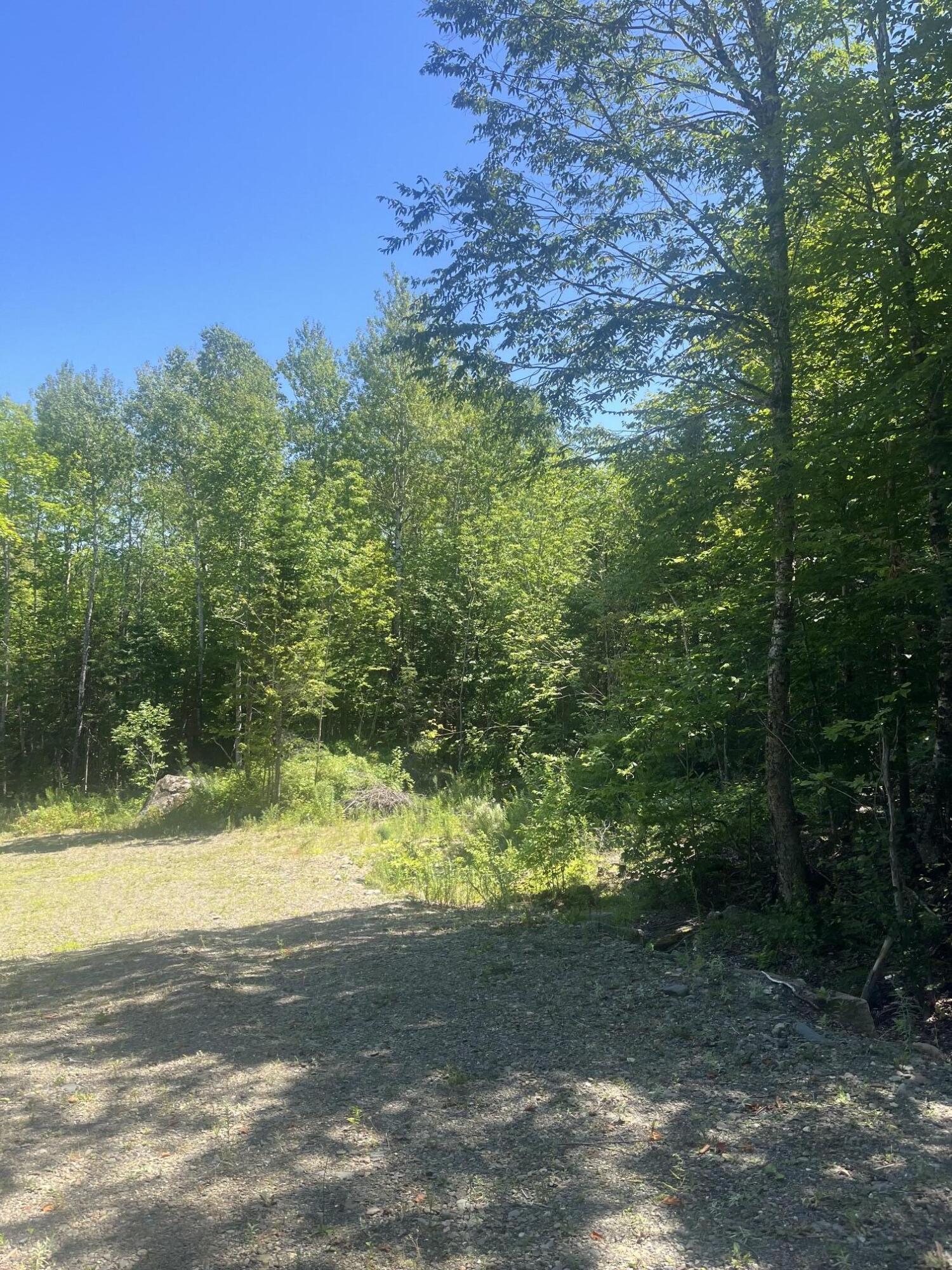 Lot 23.3 Forest City Road Property Photo 2