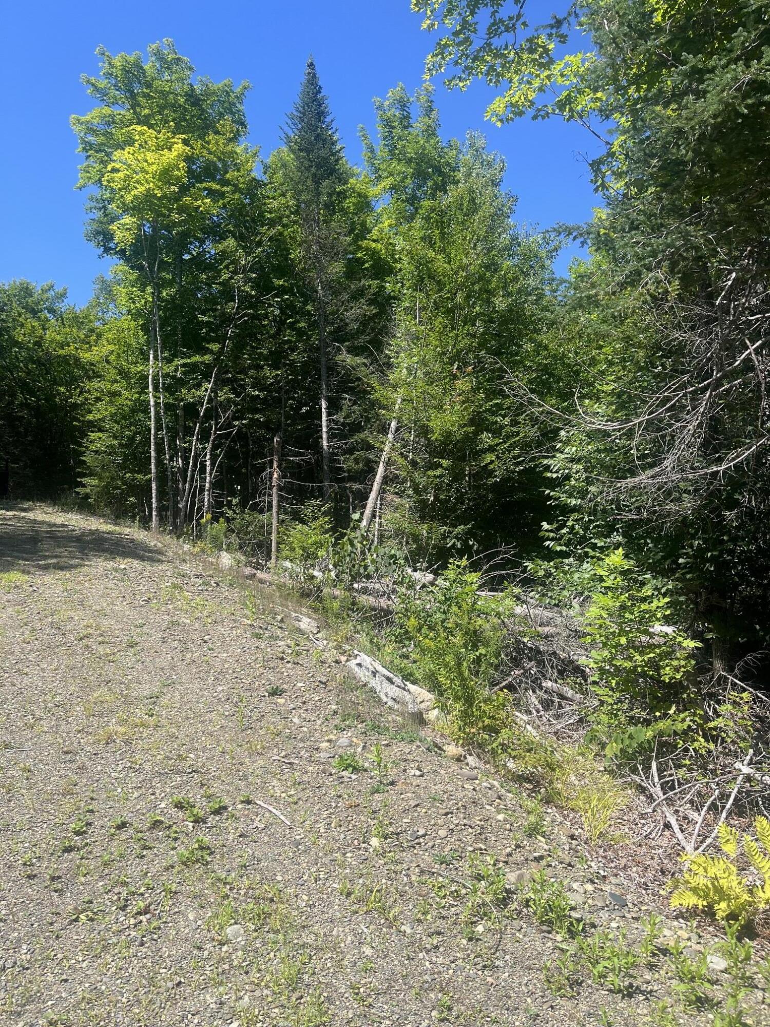 Lot 23.3 Forest City Road Property Photo 5