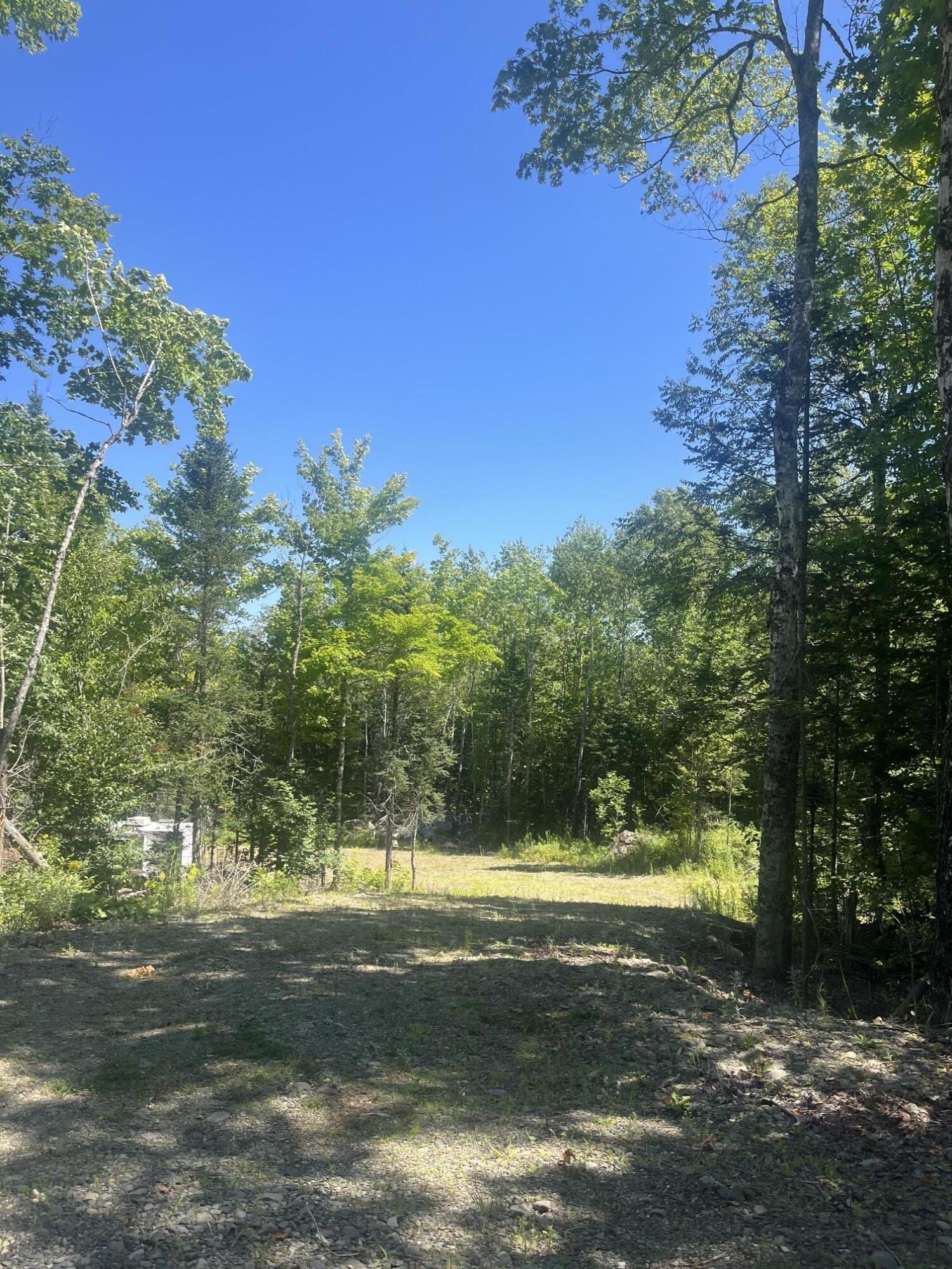 Lot 23.3 Forest City Road Property Photo 6