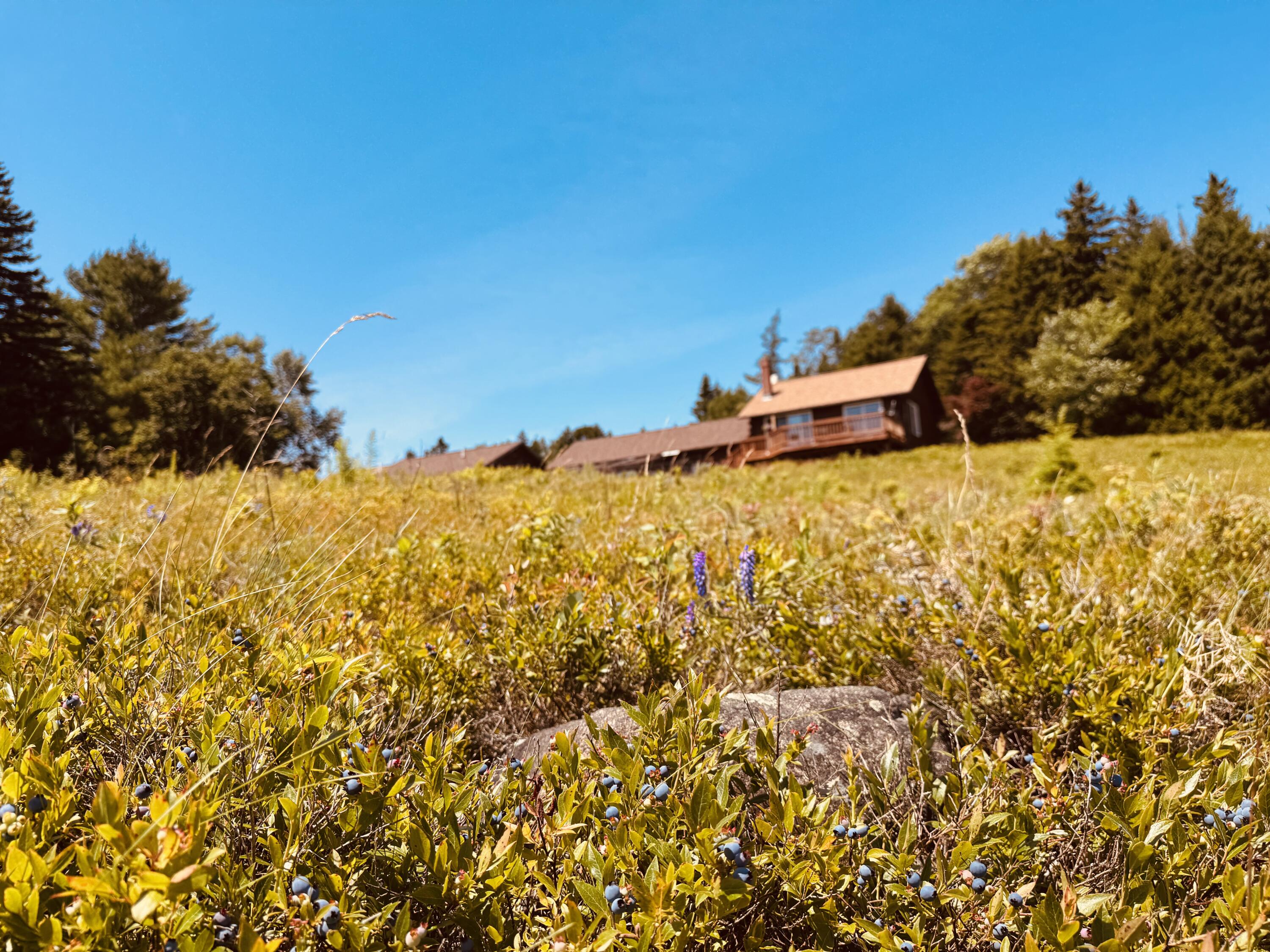 93 Stagecoach Road Property Photo 159
