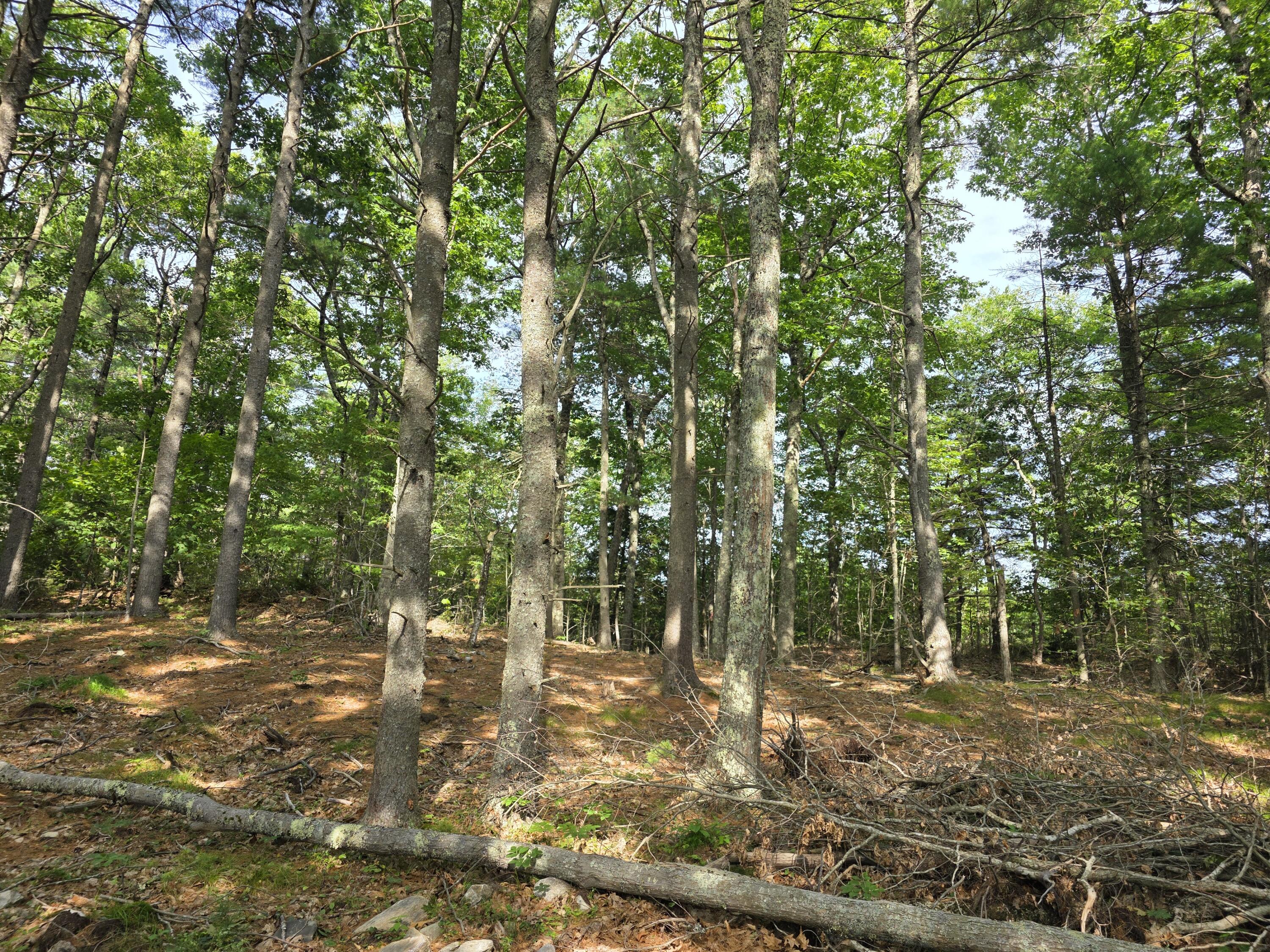 00 Pinnacle Road Property Photo 6