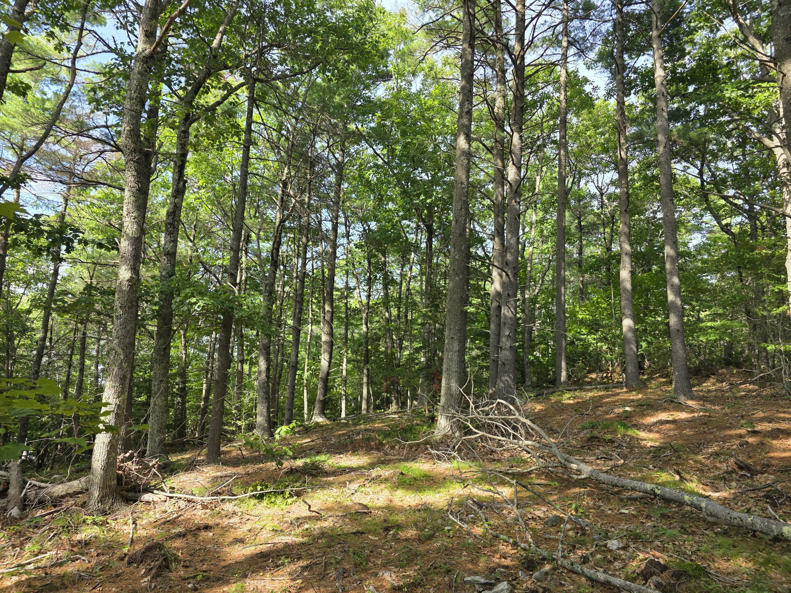 00 Pinnacle Road Property Photo 8