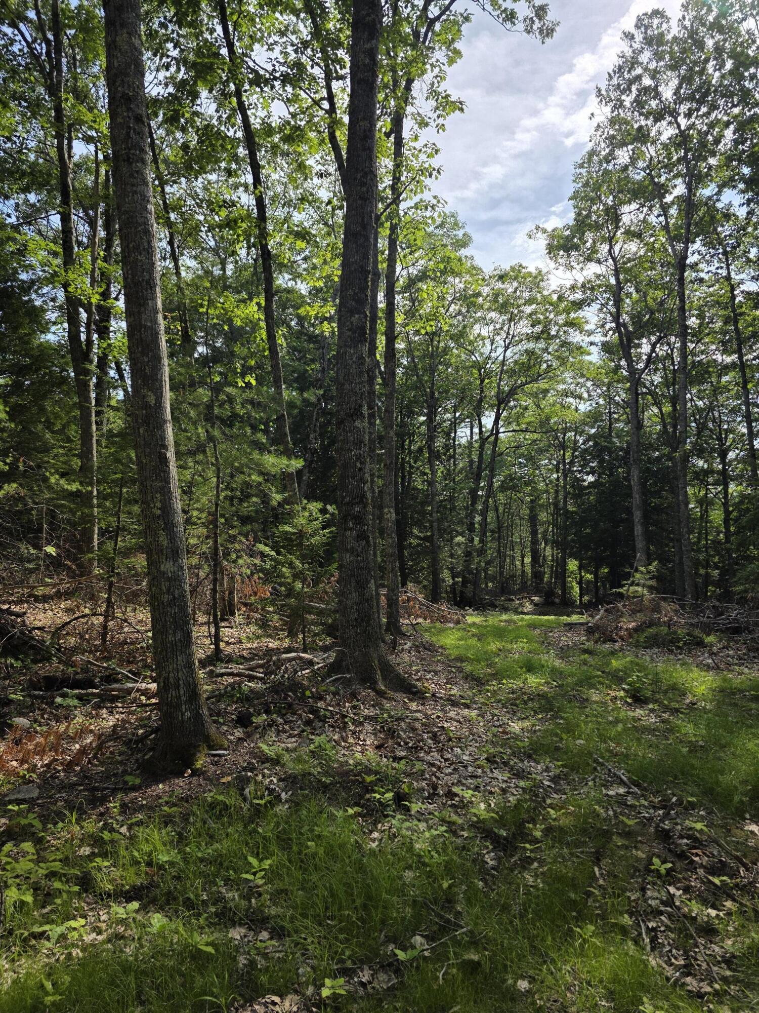 00 Pinnacle Road Property Photo 10
