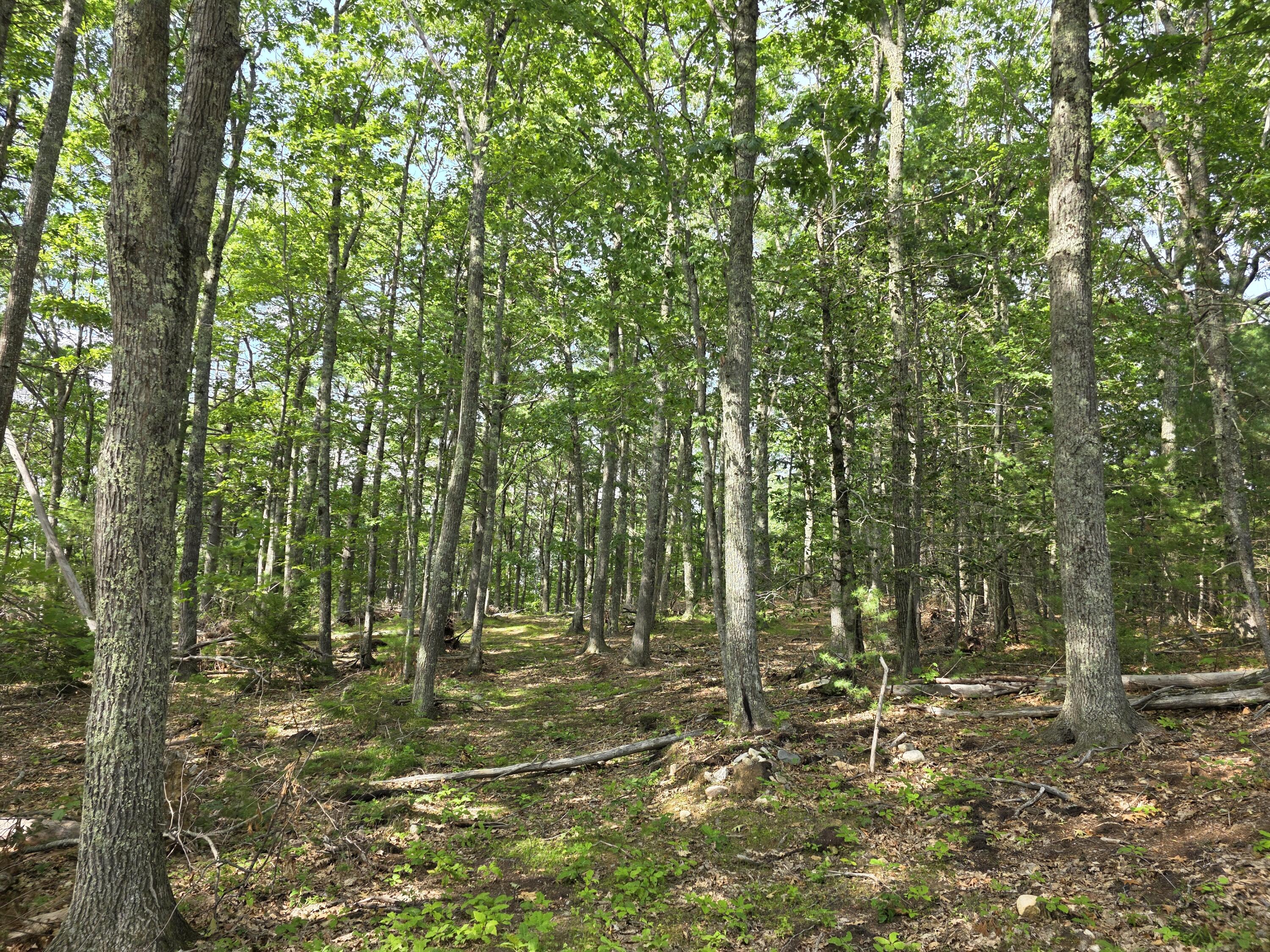 00 Pinnacle Road Property Photo 11