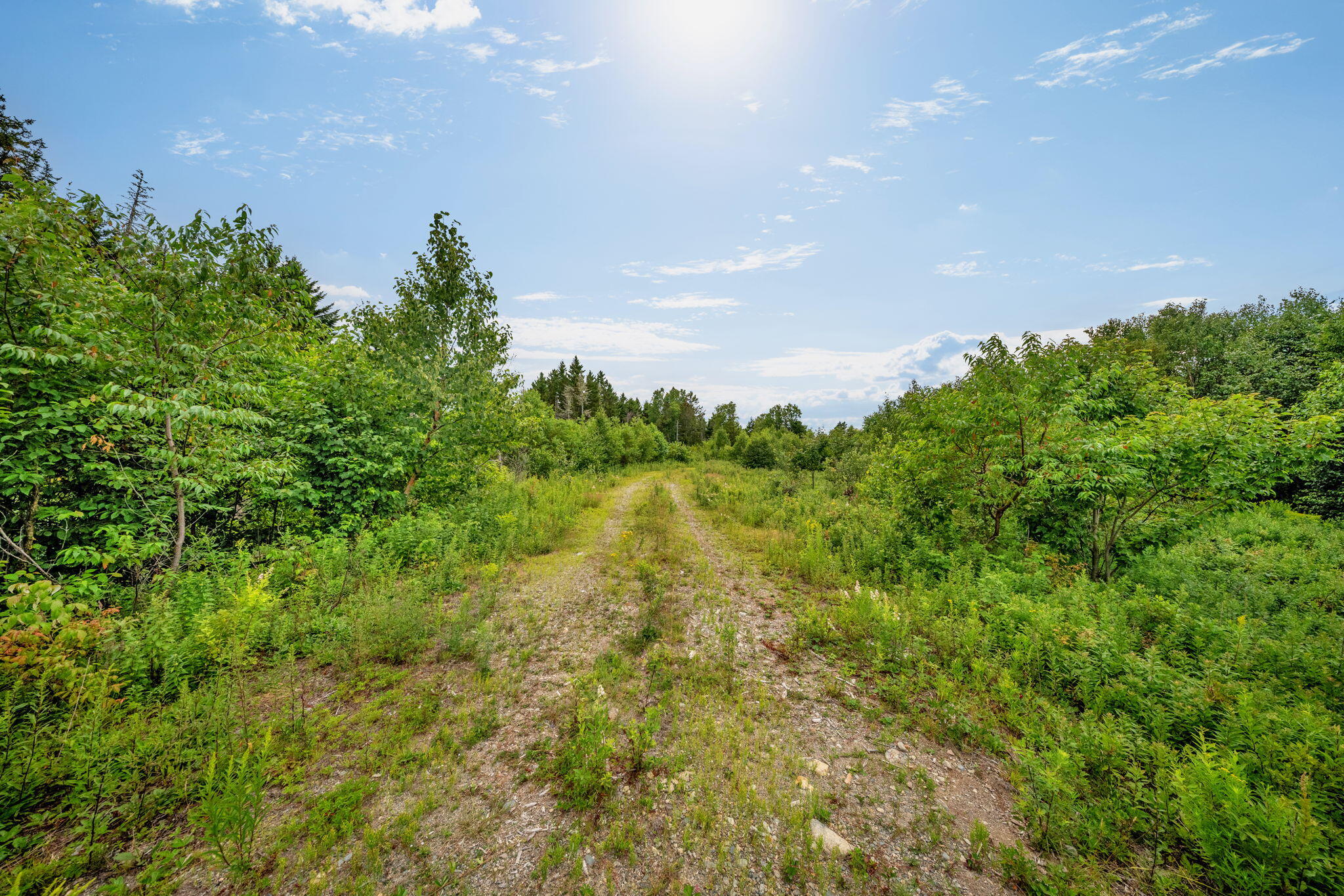 M002l035 Route 191(cutler Rd) Road Property Photo 5