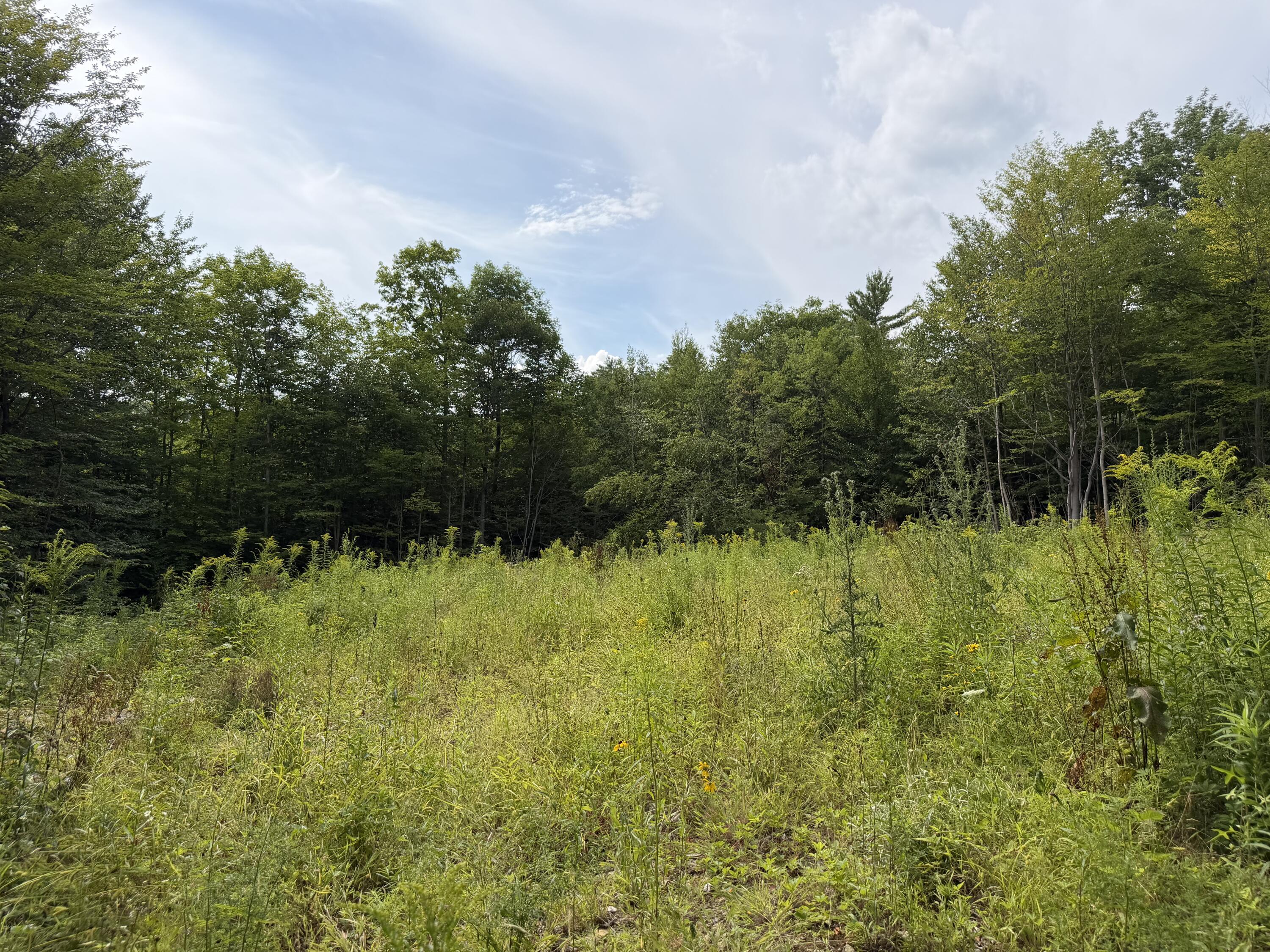 Lot 60&116 Plaisted Road Property Photo 1