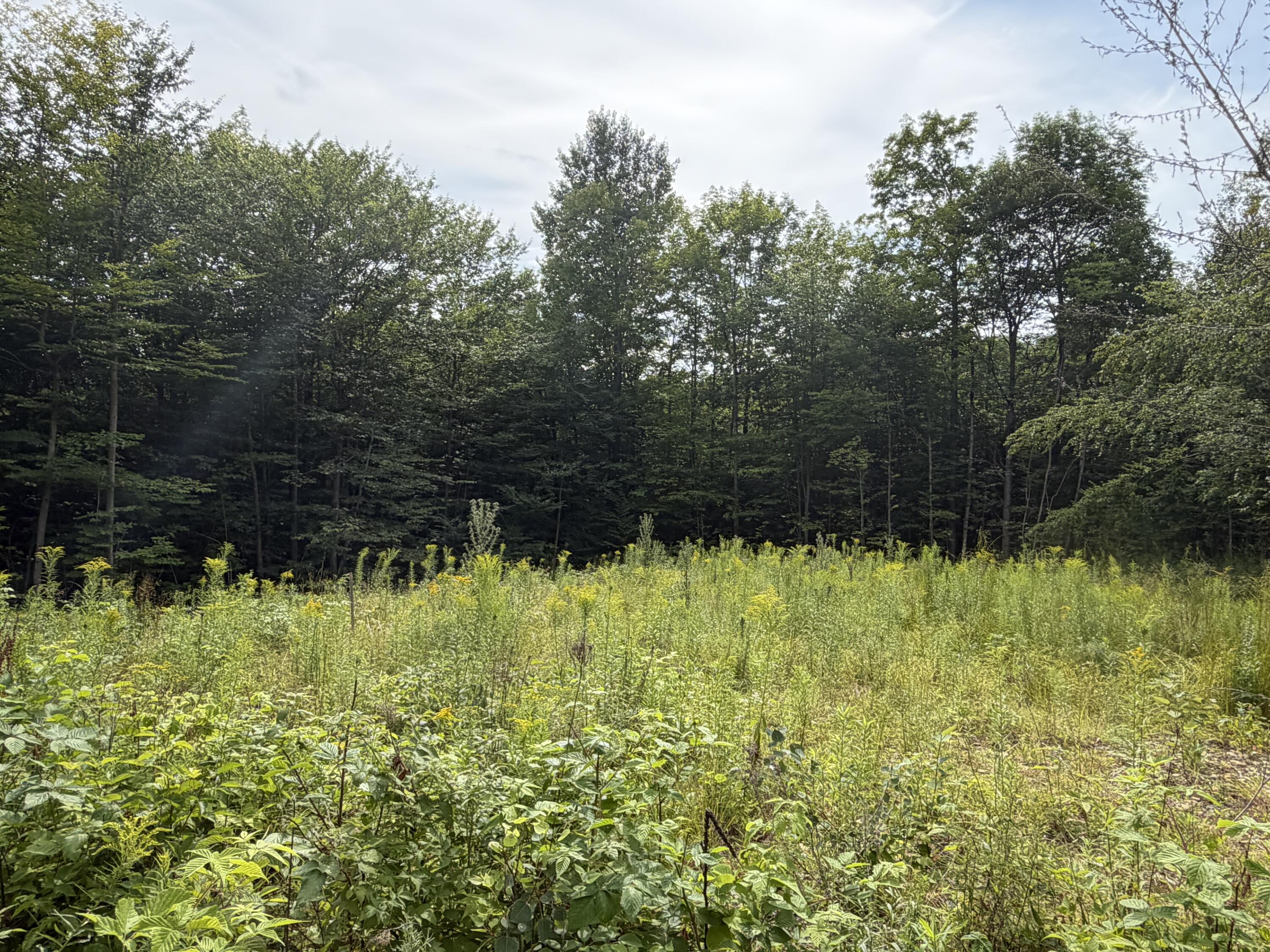 Lot 60&116 Plaisted Road Property Photo 3