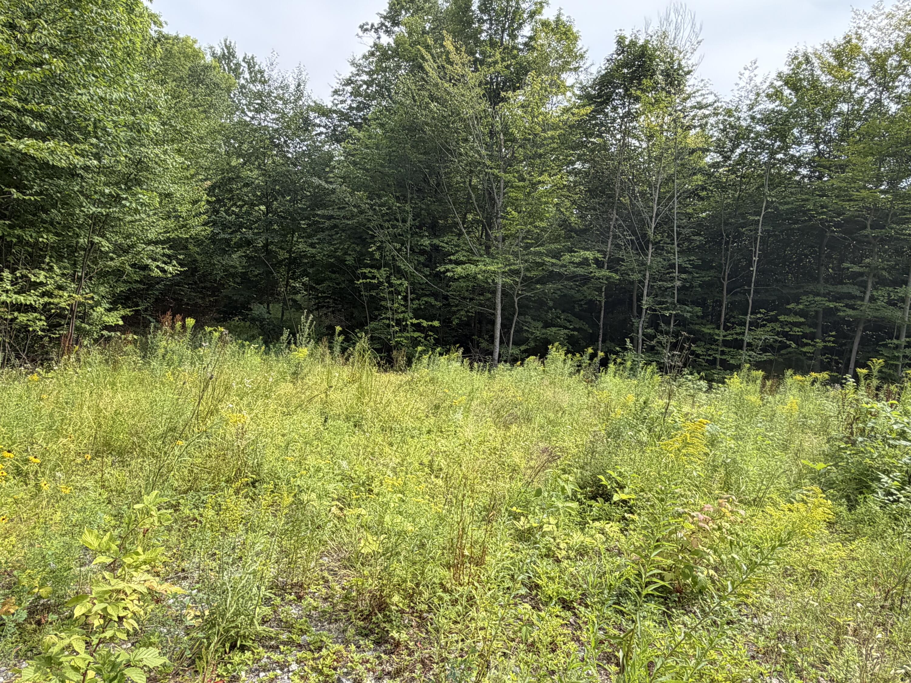 Lot 60&116 Plaisted Road Property Photo 4
