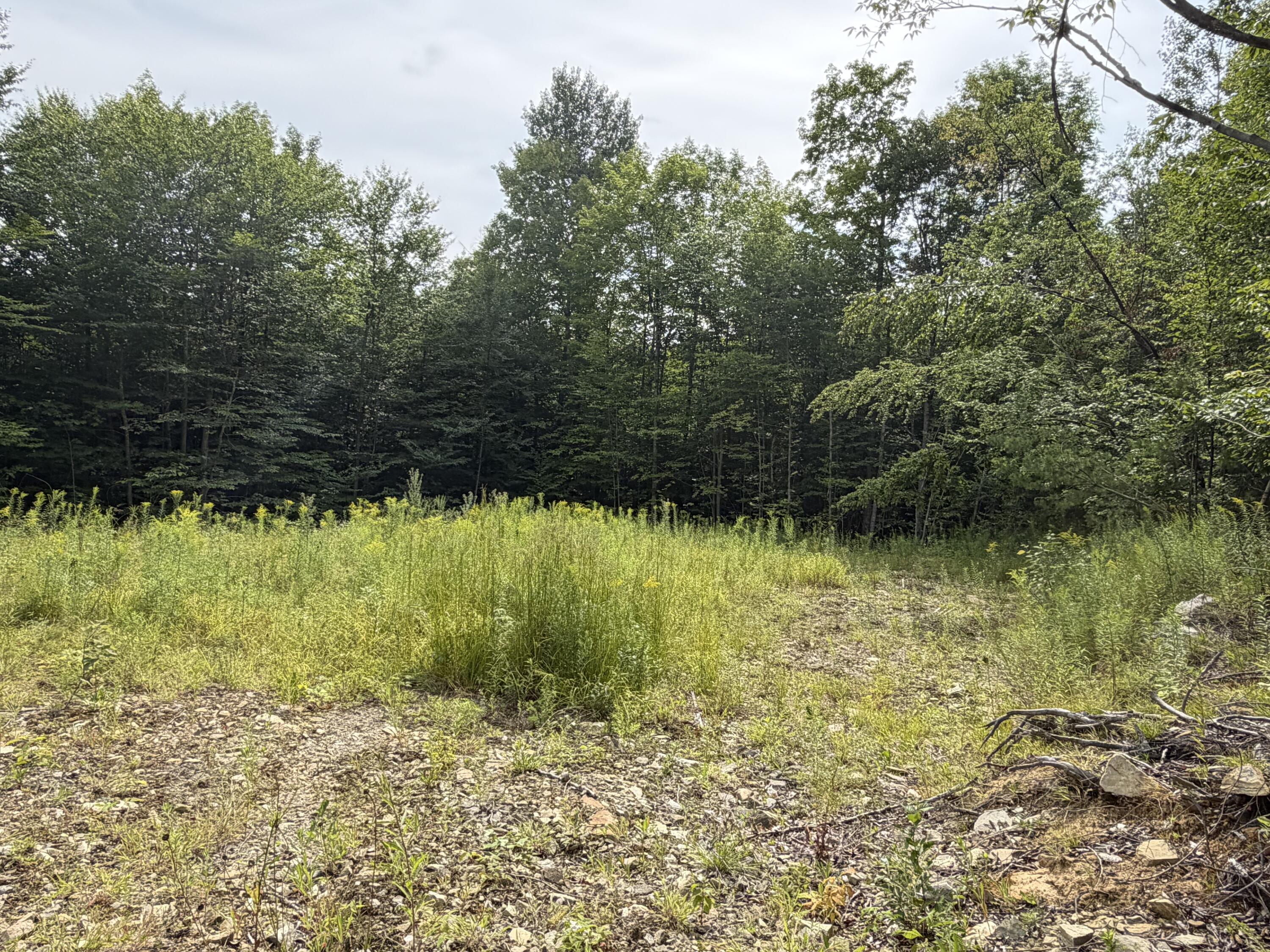 Lot 60&116 Plaisted Road Property Photo 5