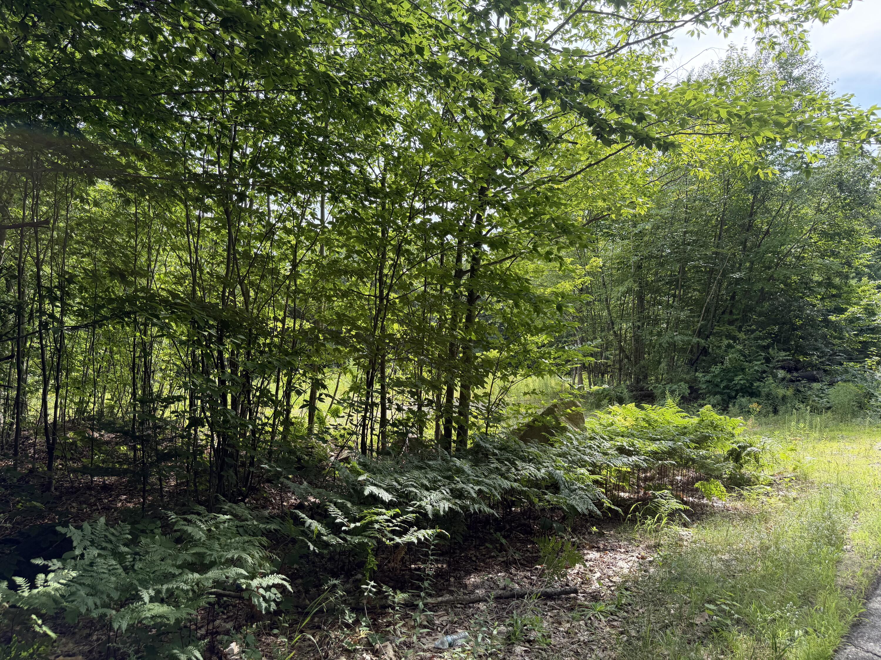 Lot 60&116 Plaisted Road Property Photo 6