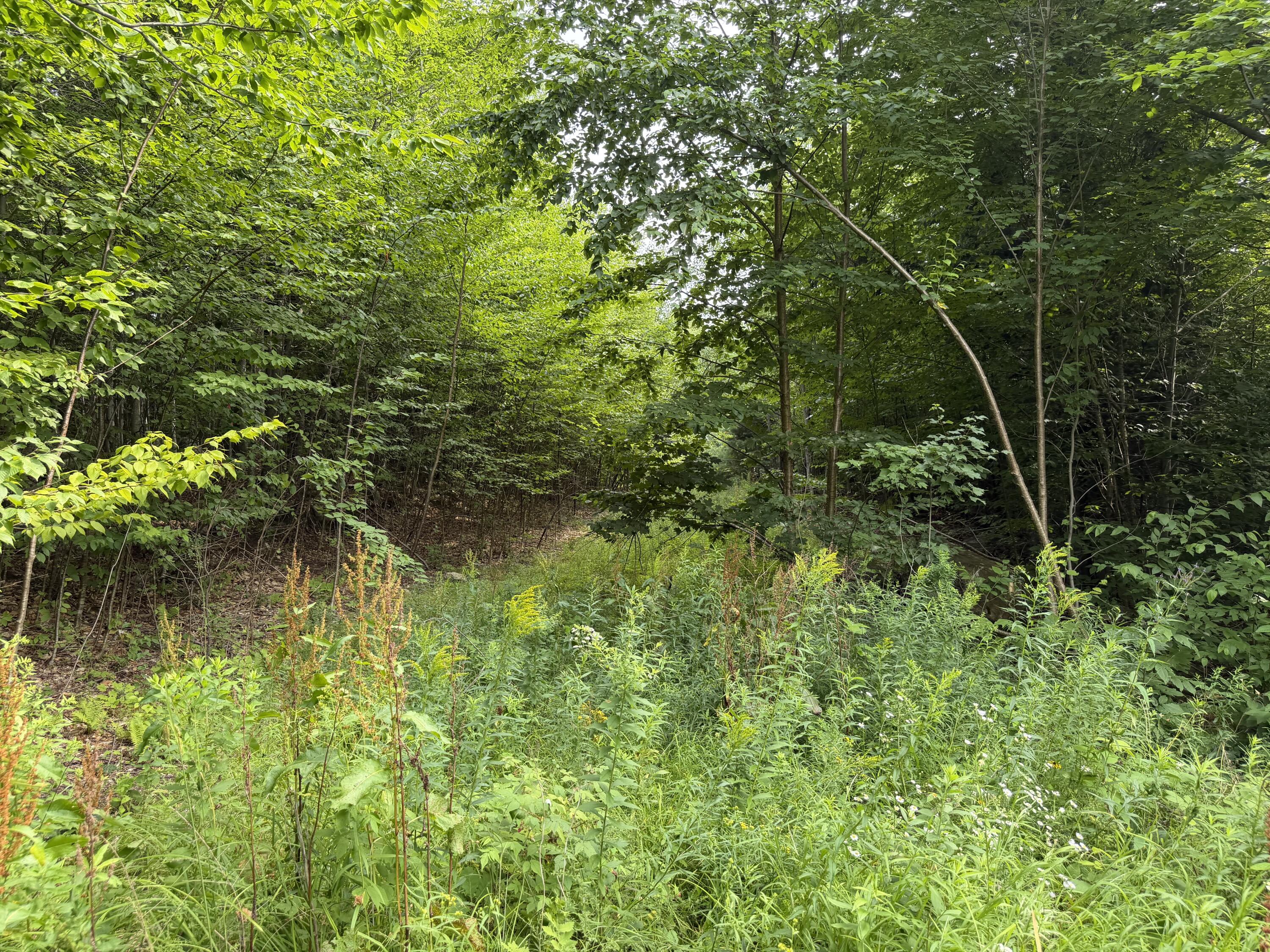 Lot 60&116 Plaisted Road Property Photo 7