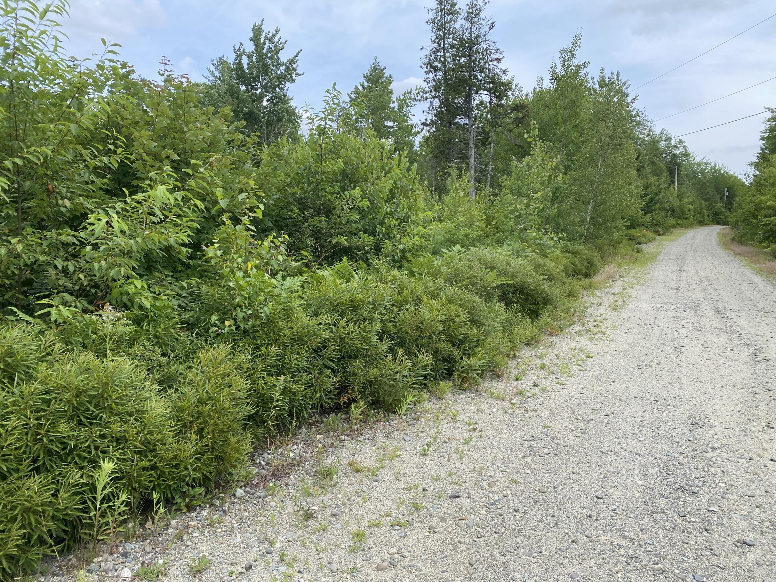 M223 Property Photo 3