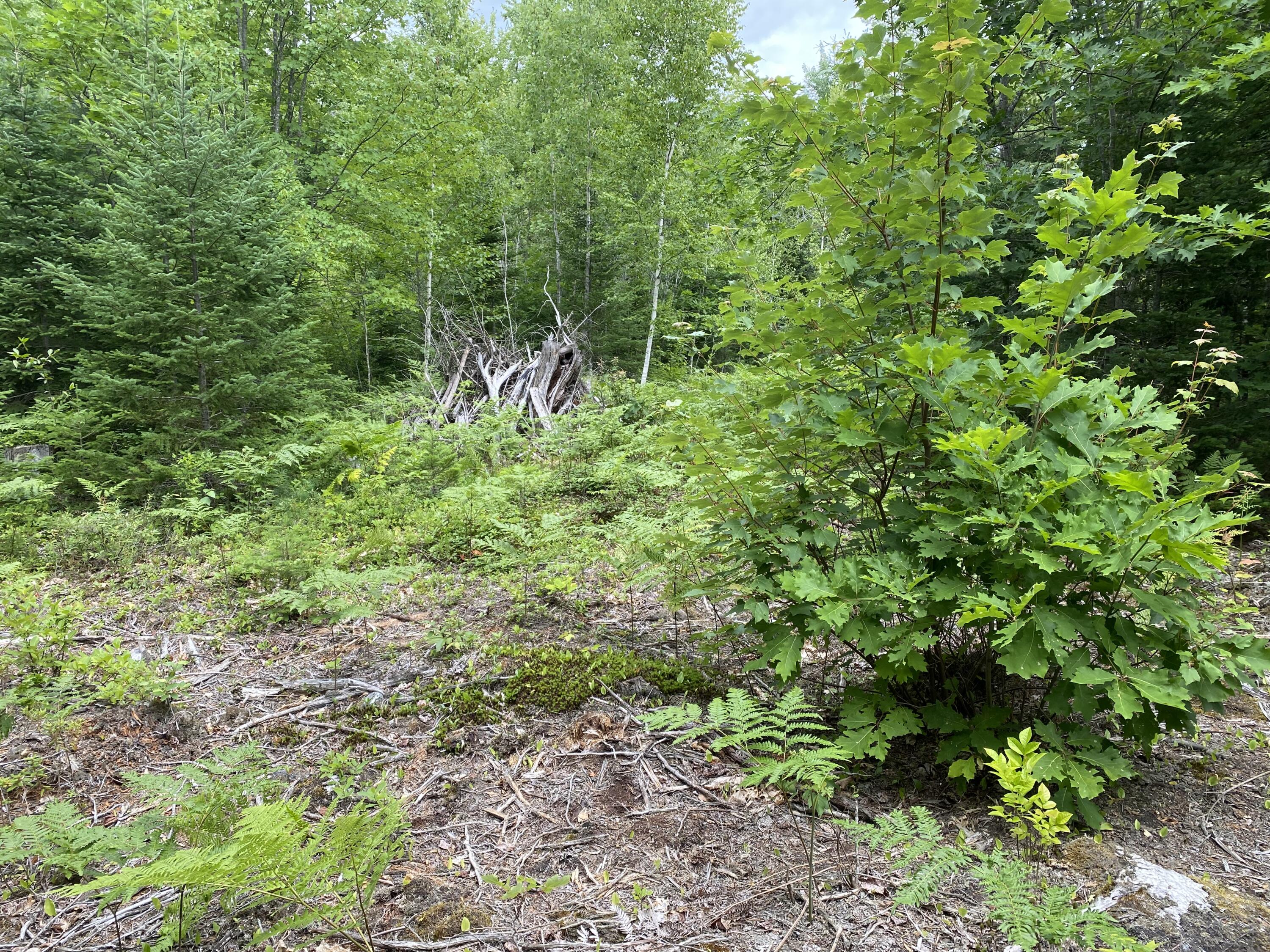 M223 Property Photo 6