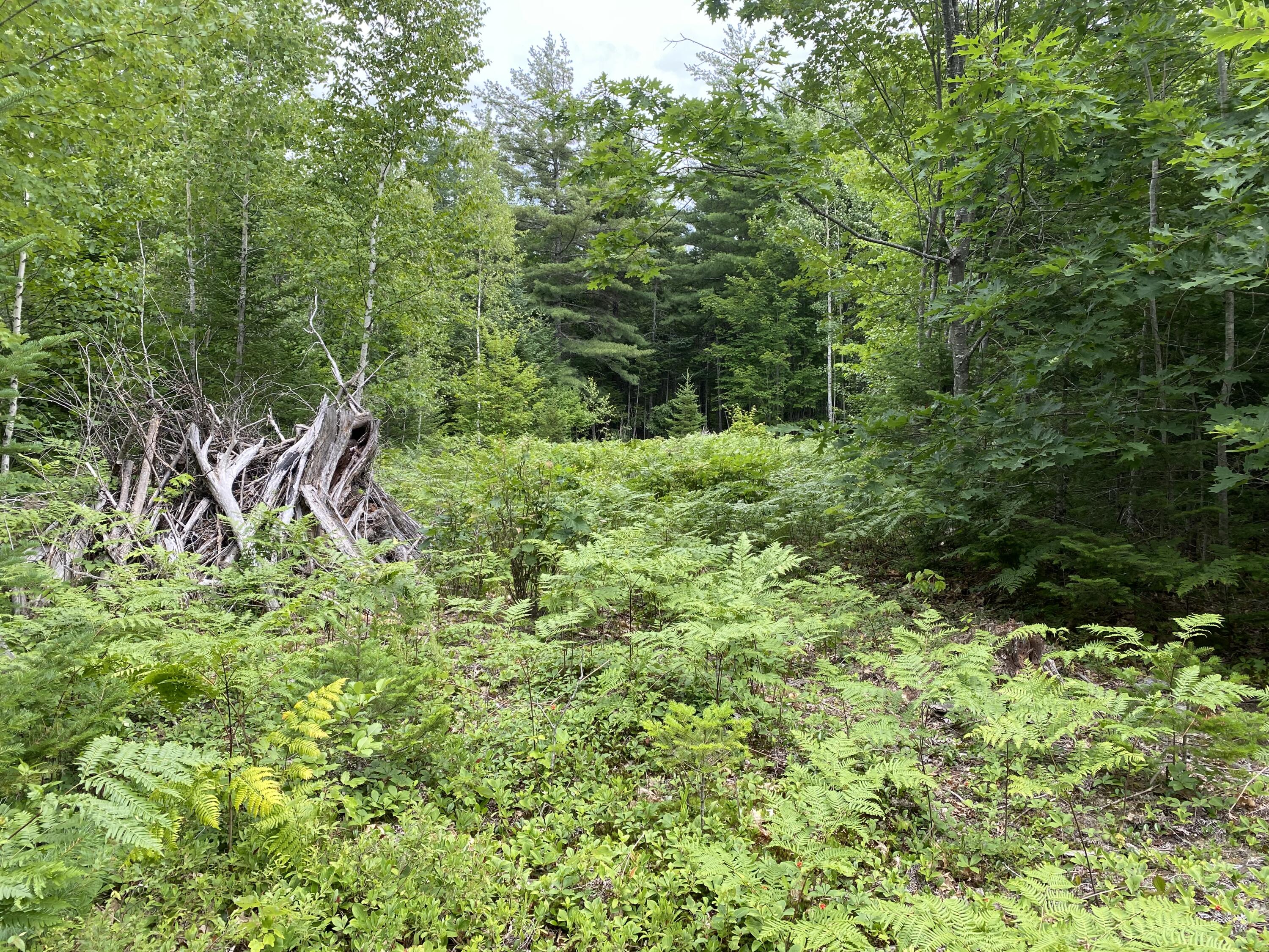 M223 Property Photo 7