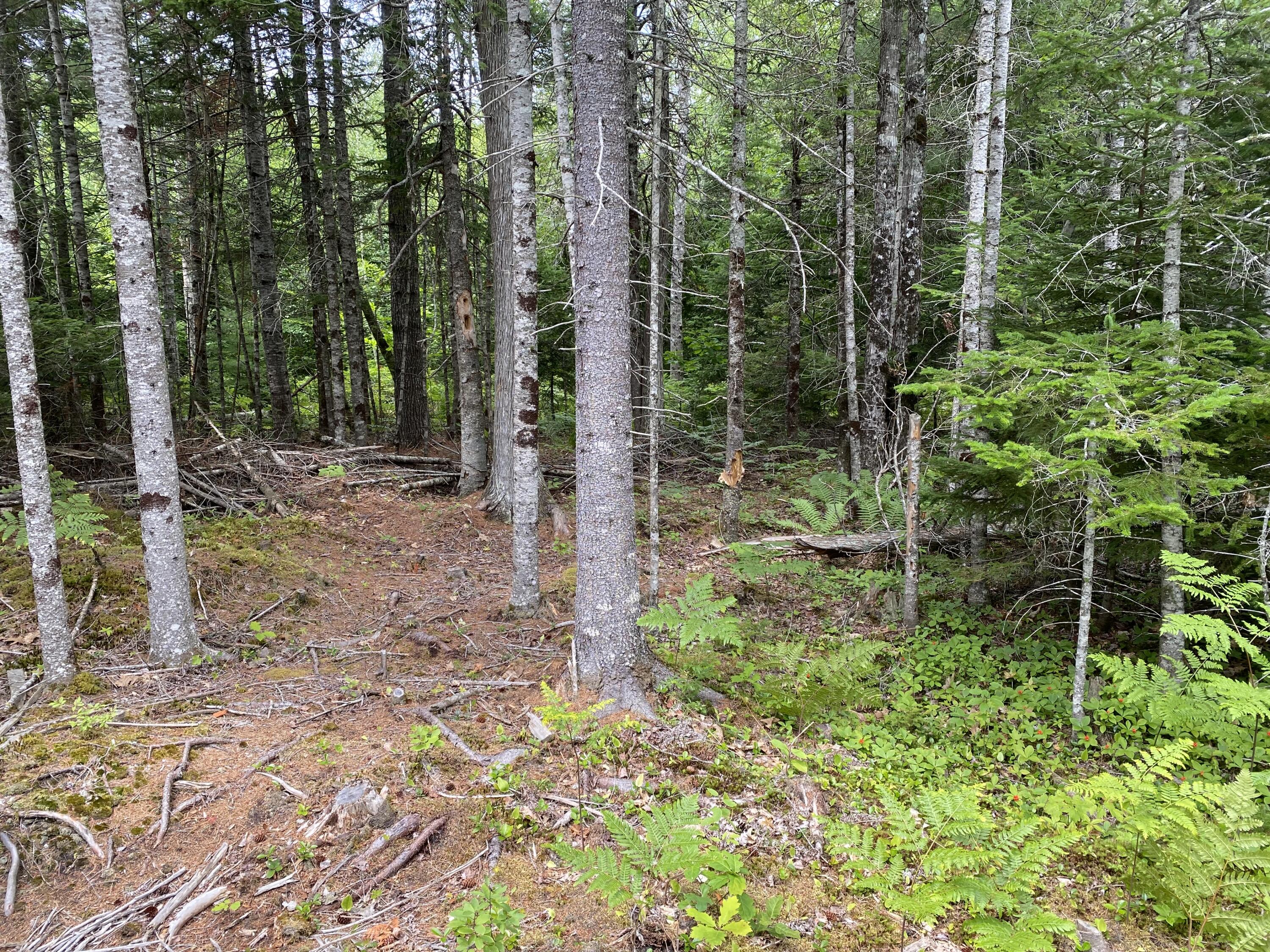 M223 Property Photo 8