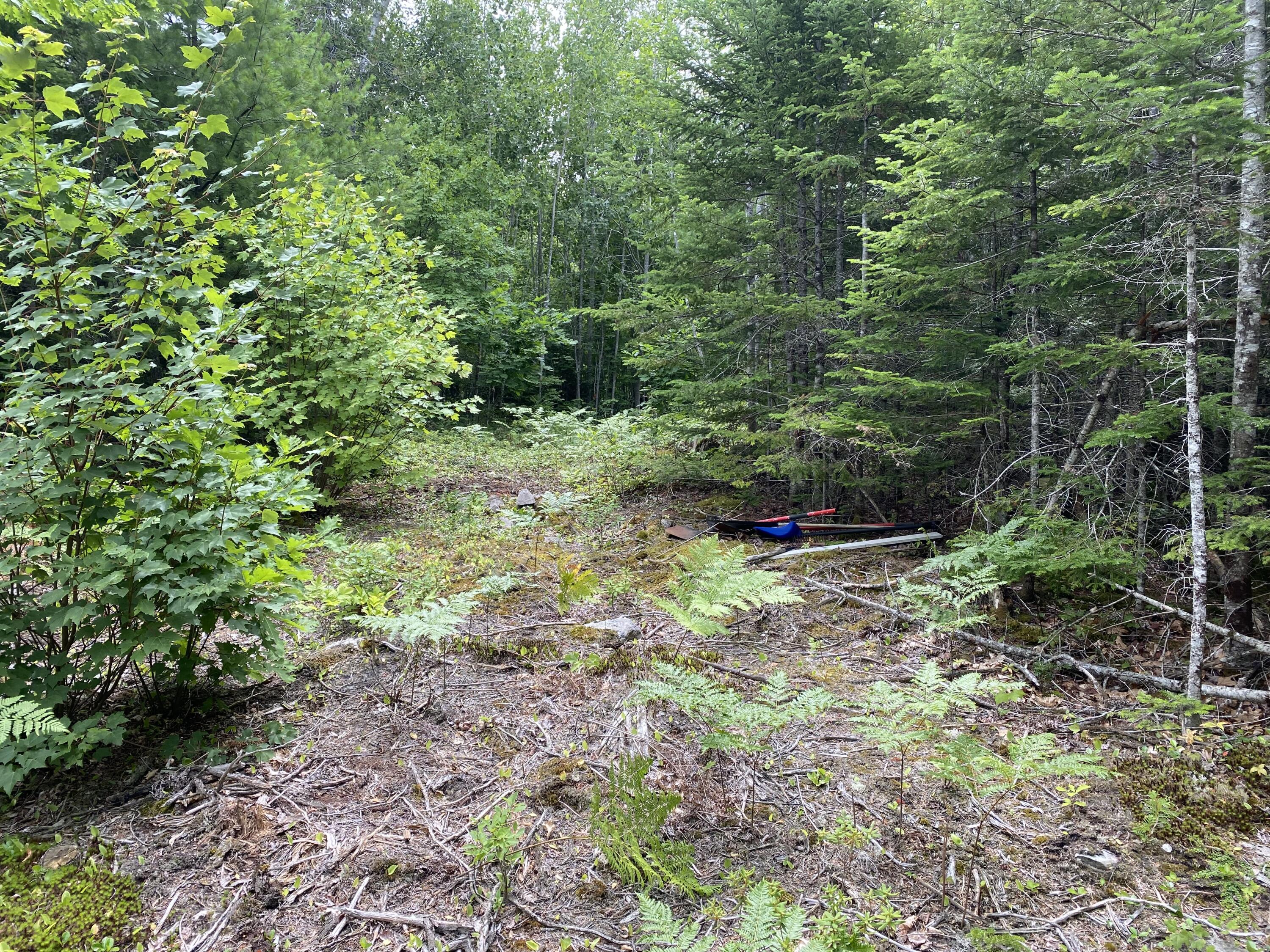M223 Property Photo 9