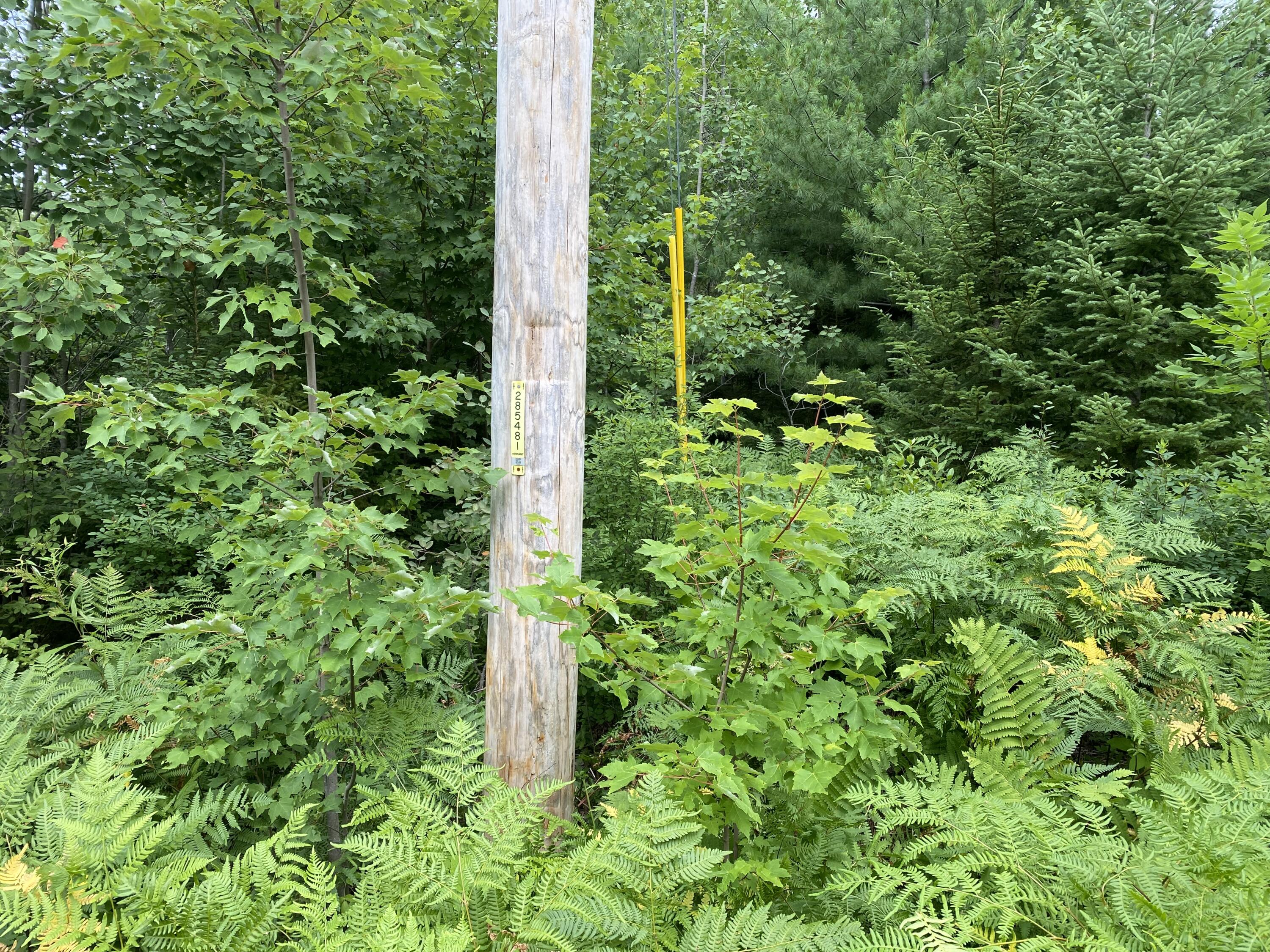 M223 Property Photo 10