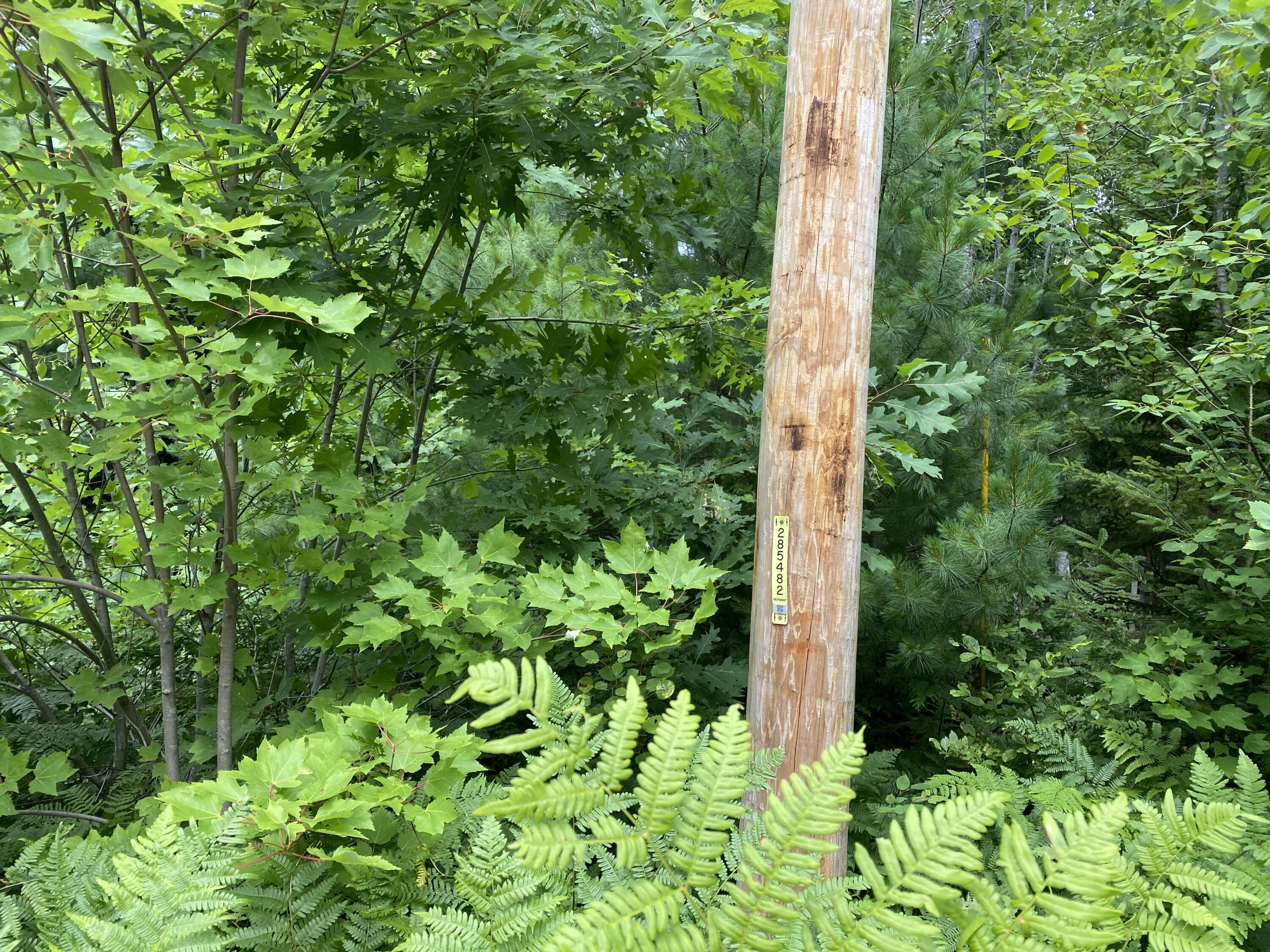 M223 Property Photo 11