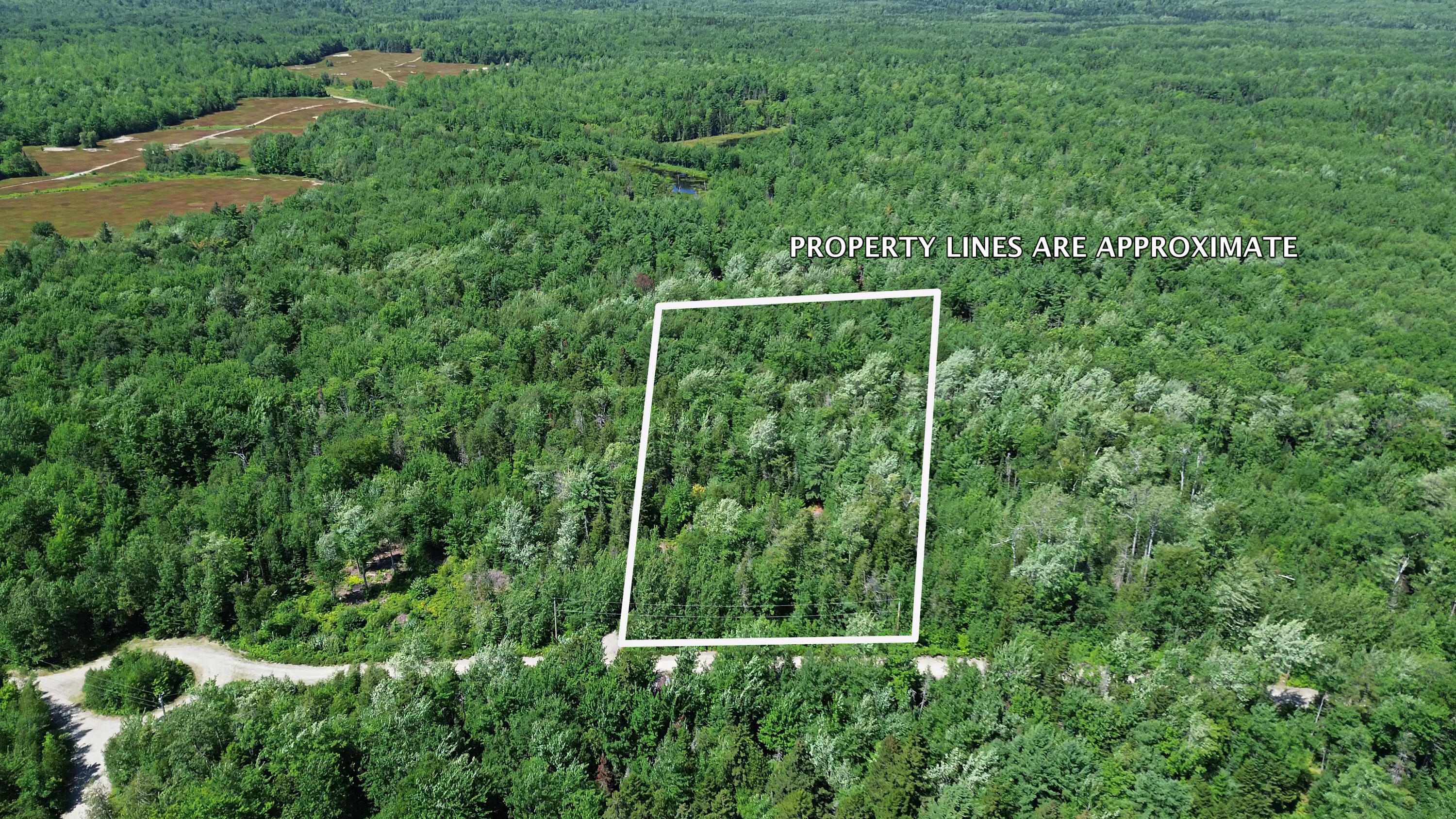 M223 Property Photo 13