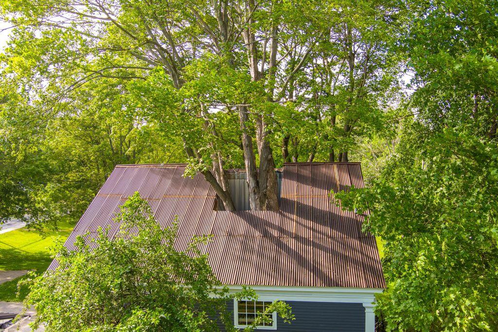 7 Storer Street Property Photo 15