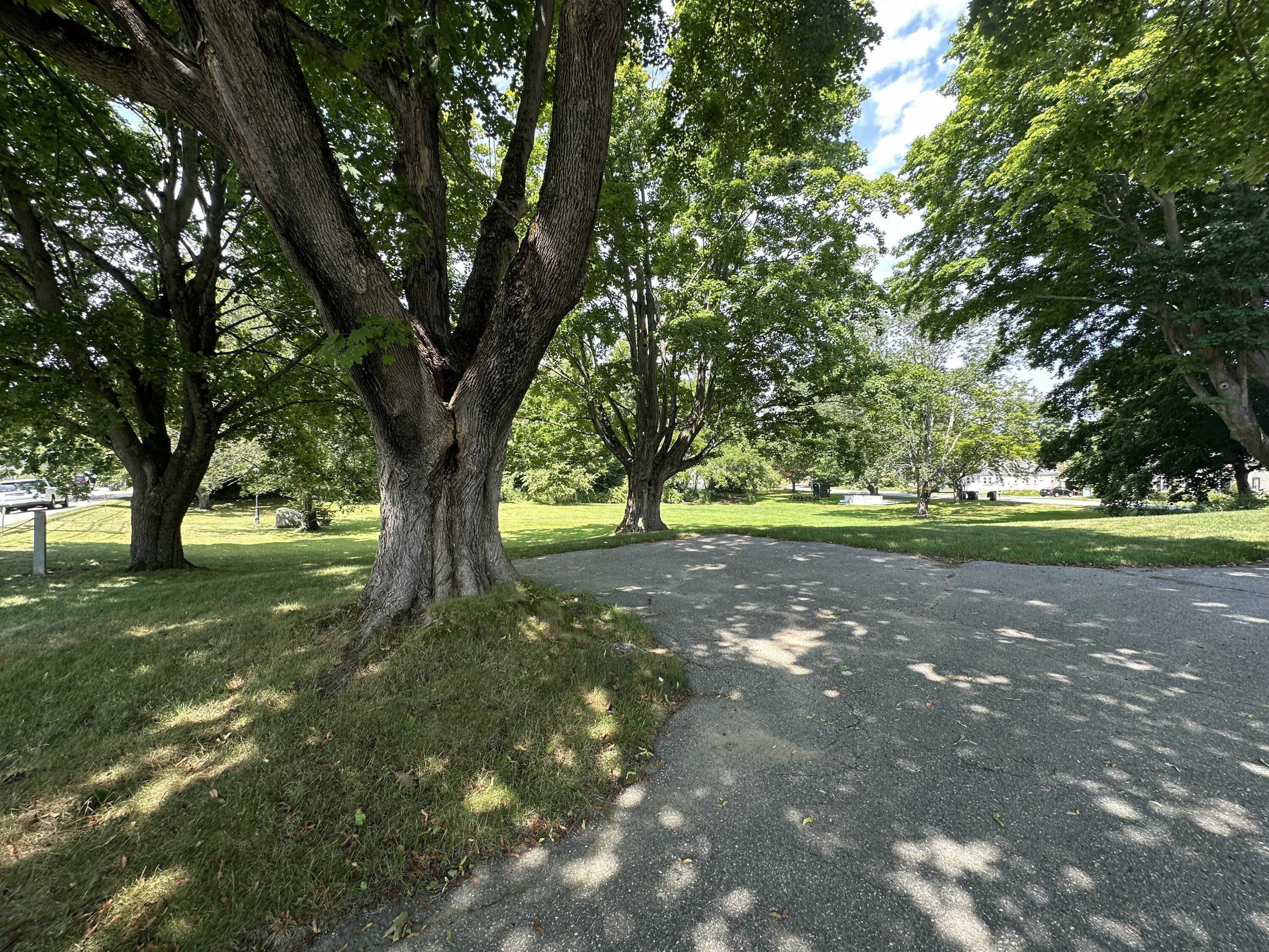 7 Storer Street Property Photo 19