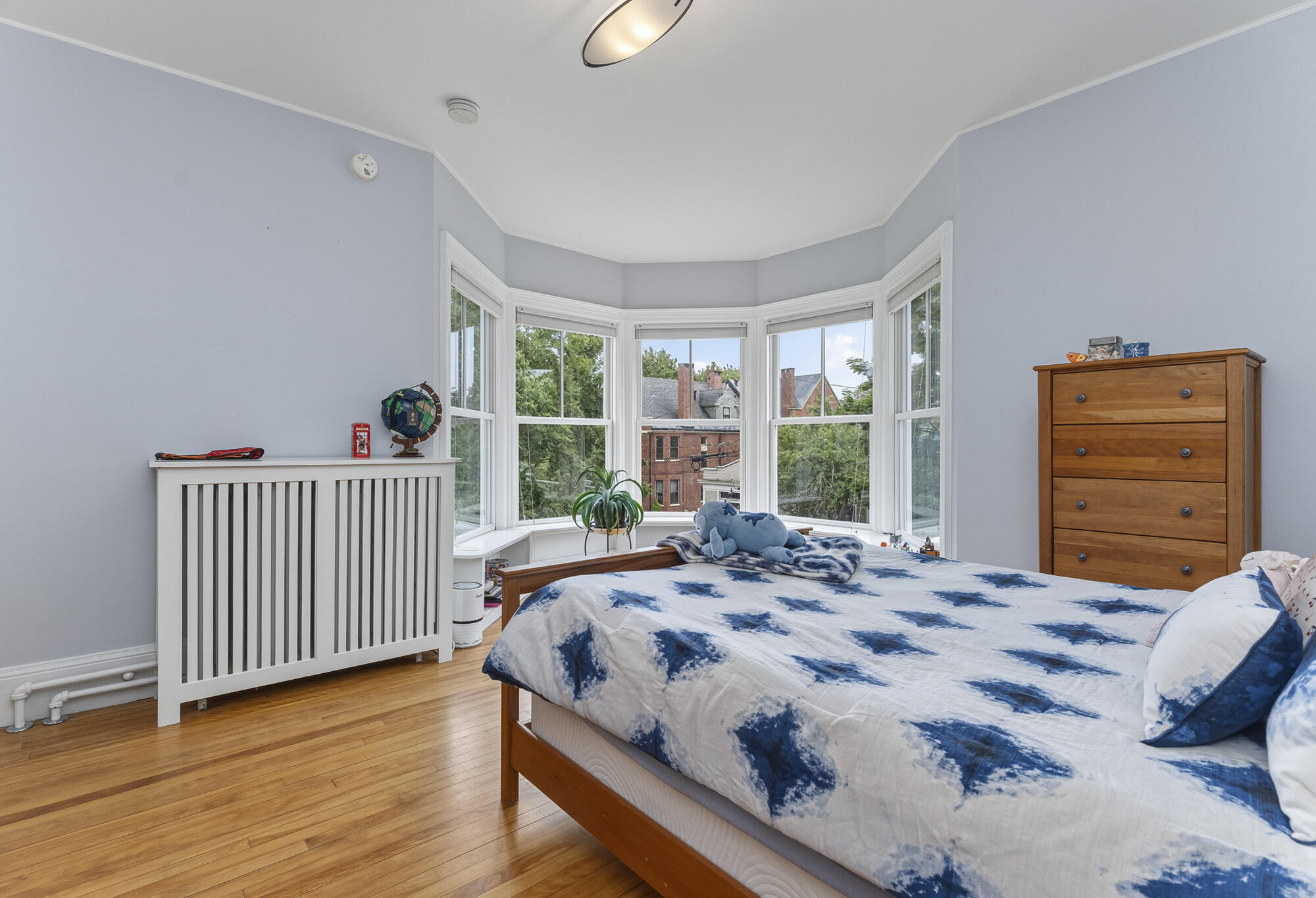37 Carroll Street Property Photo 47