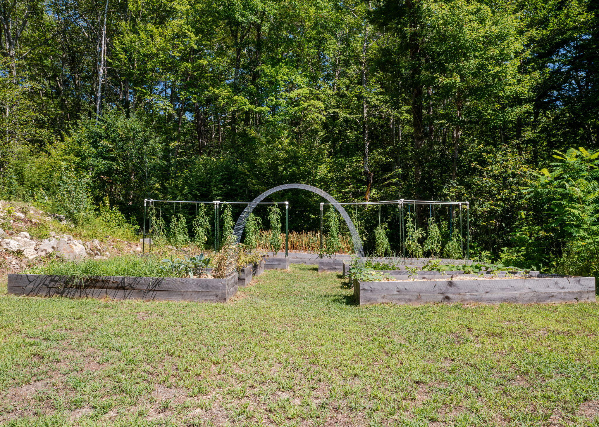 54 Littlefield Pond Road Property Photo 54