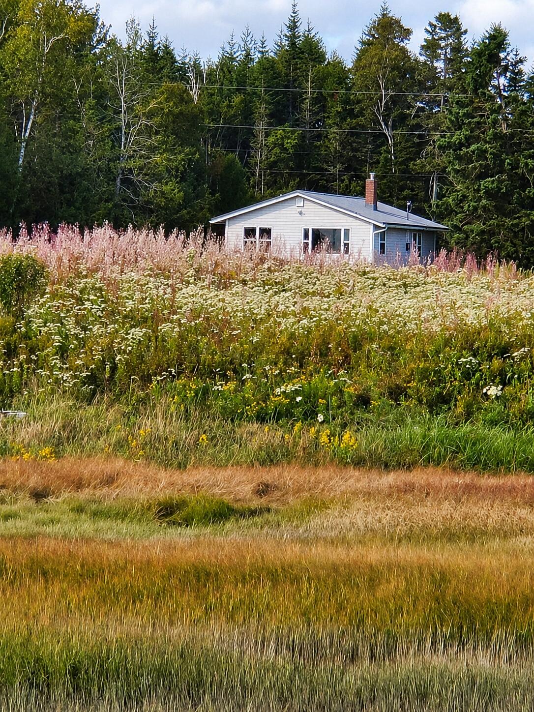 476 S Lubec Road Property Photo 22