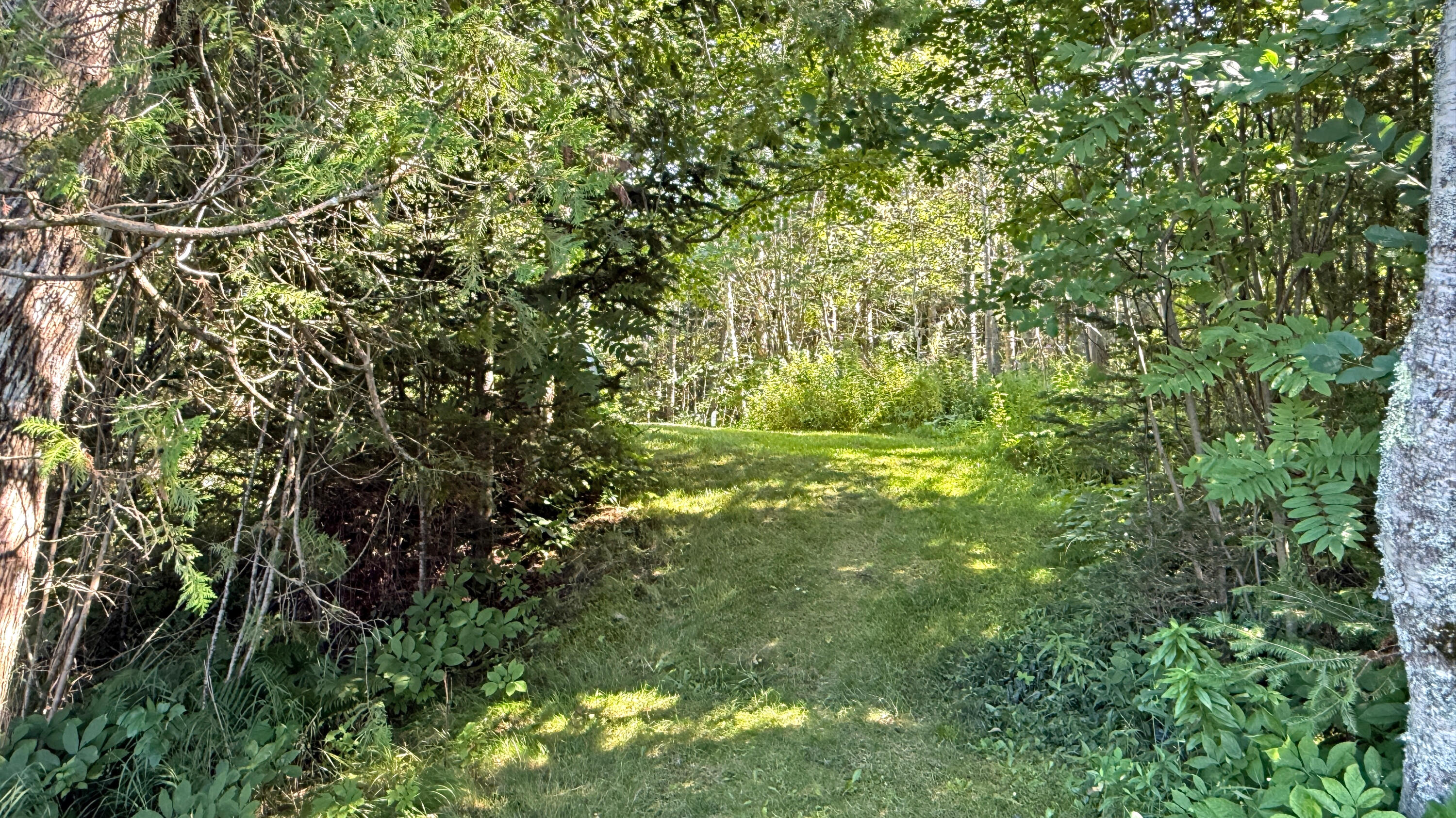 476 S Lubec Road Property Photo 35
