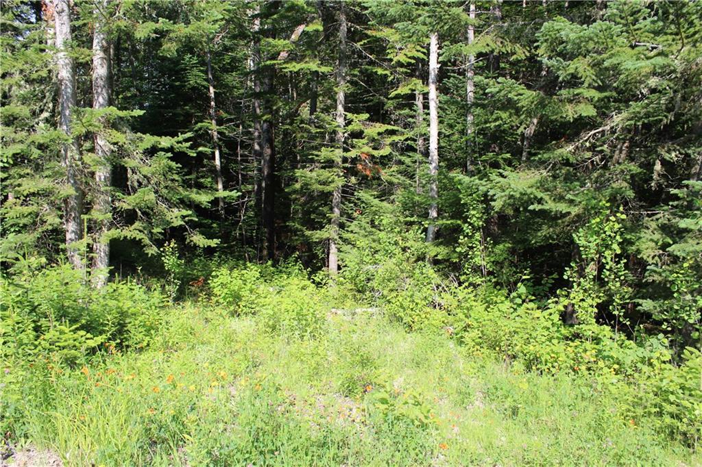 Lot 24b Bemis Road Property Photo 3