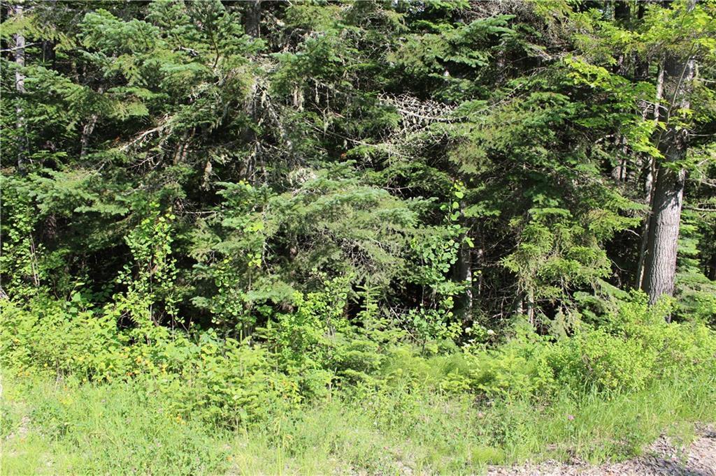 Lot 24b Bemis Road Property Photo 4