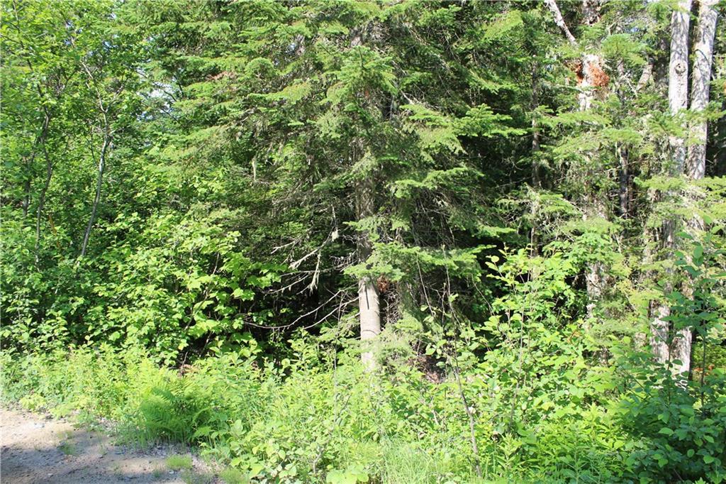 Lot 24b Bemis Road Property Photo 5