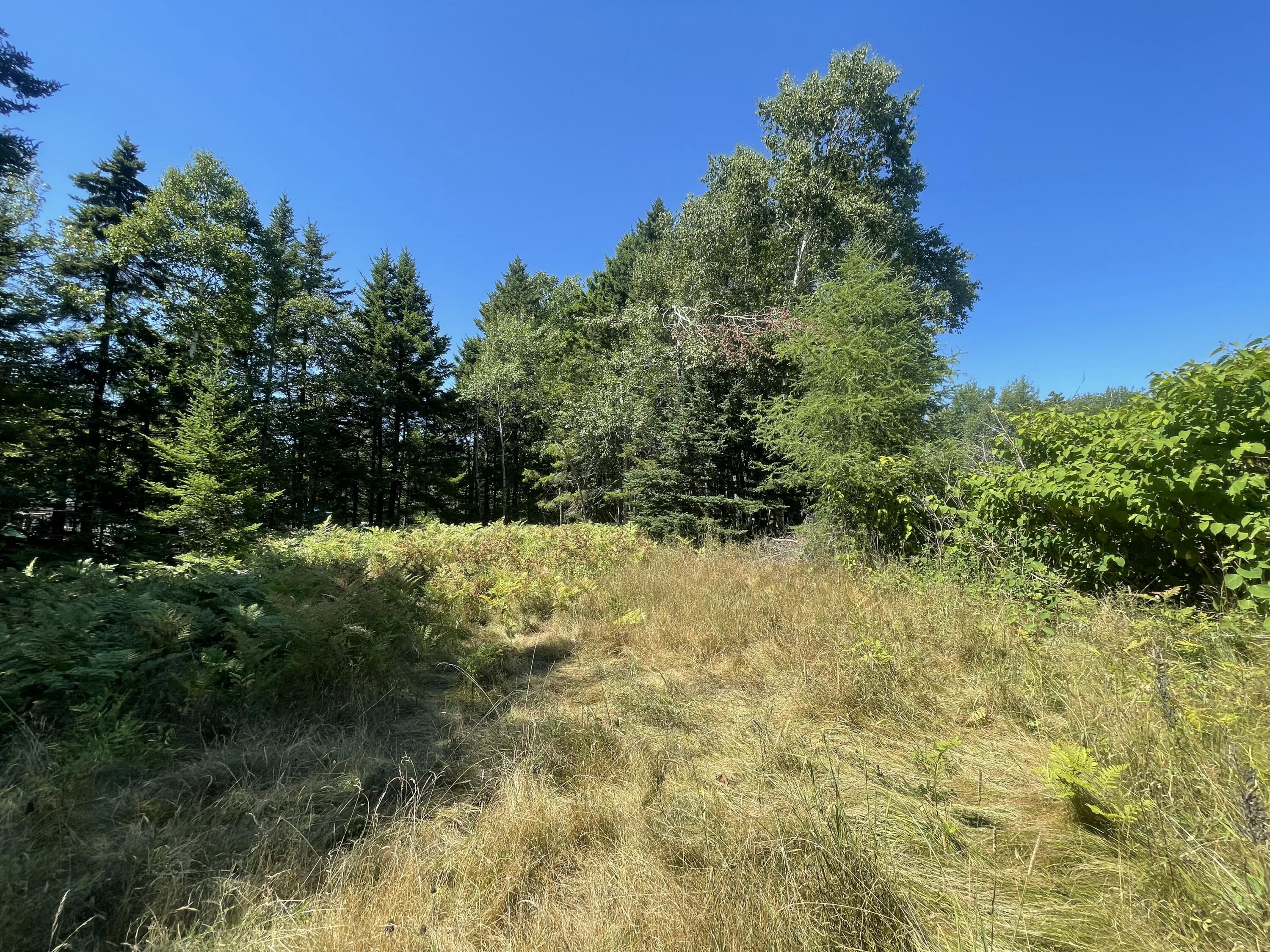 106 N Main Street Property Photo 5