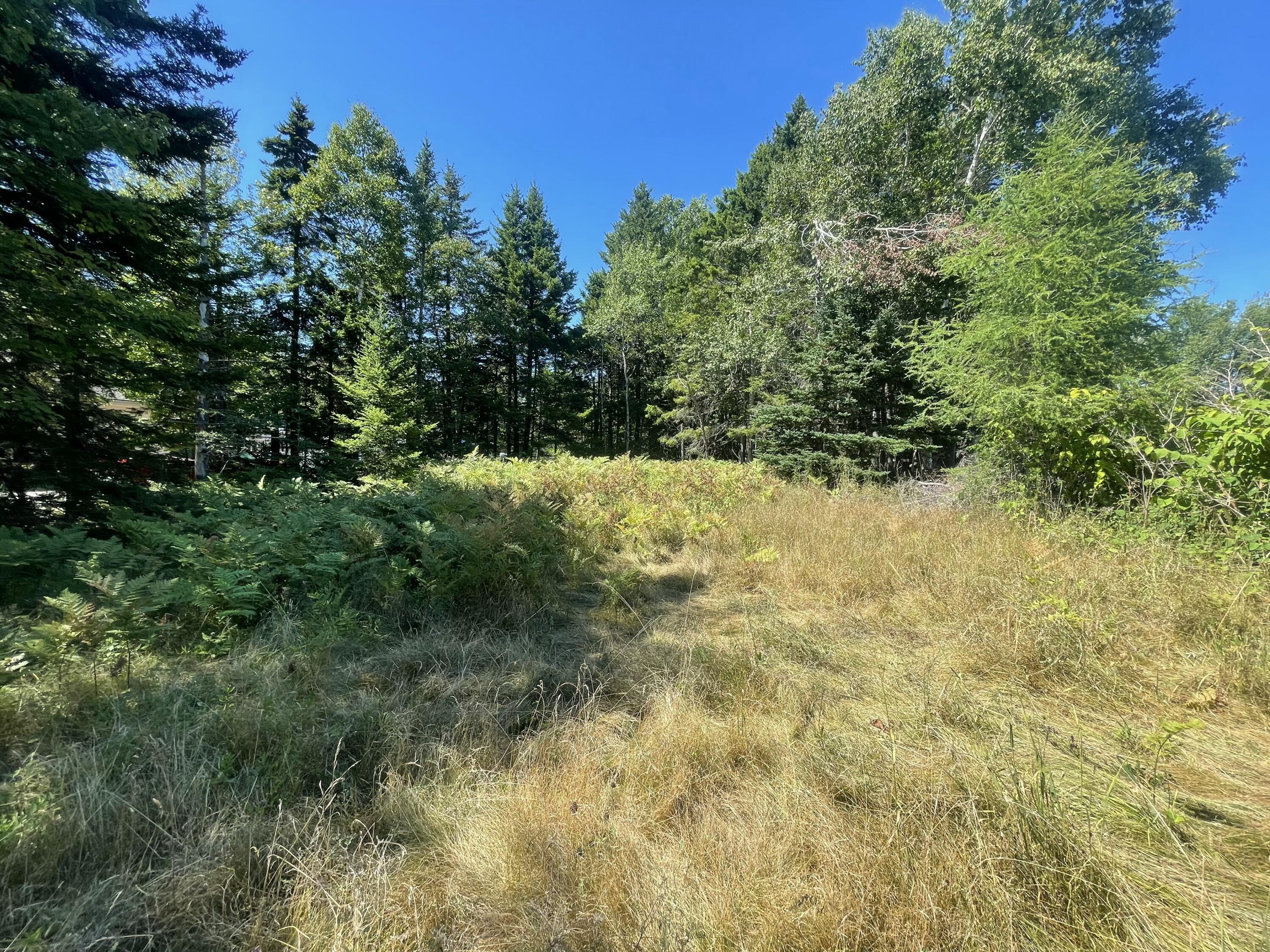 106 N Main Street Property Photo 7