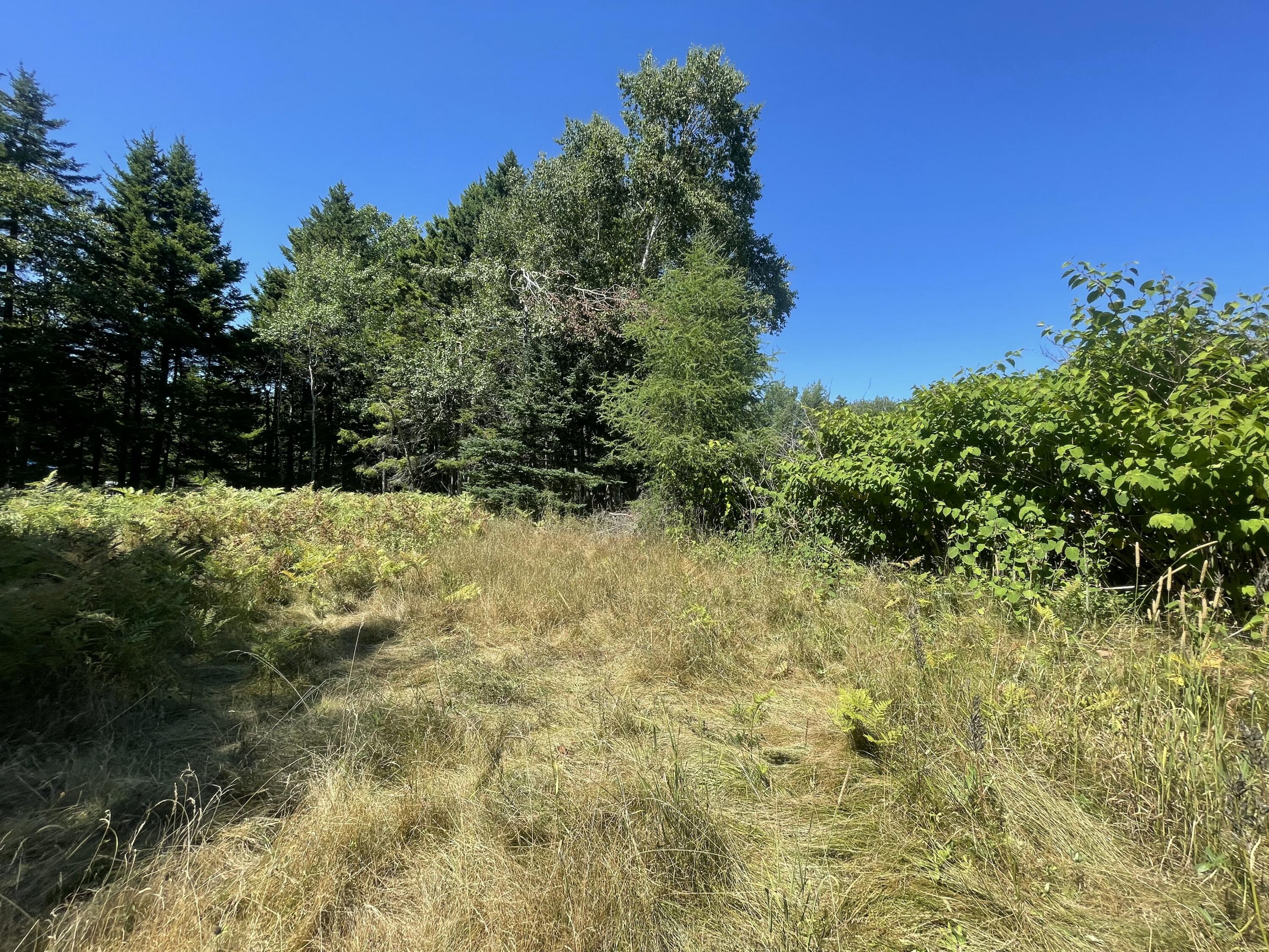 106 N Main Street Property Photo 8