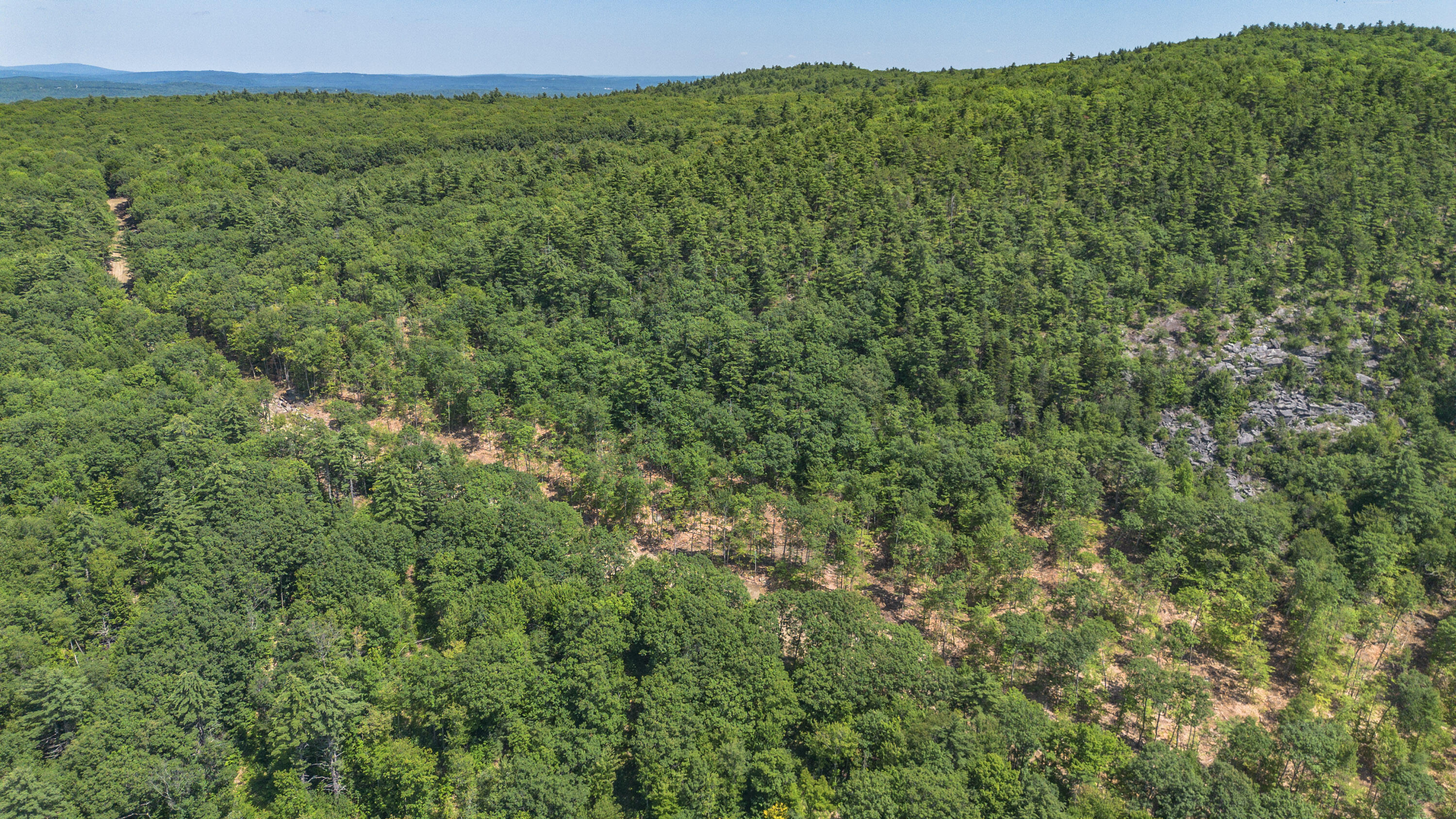 Lot 22 Bear Mountain Road Property Photo 4