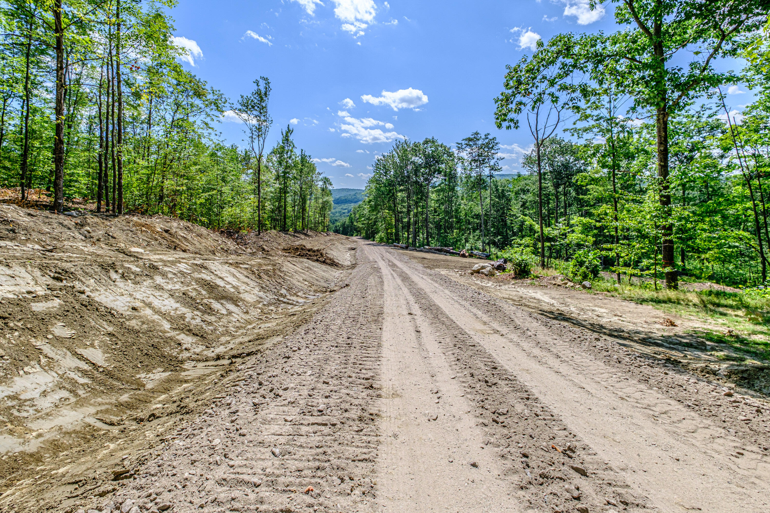 Lot 22 Bear Mountain Road Property Photo 6