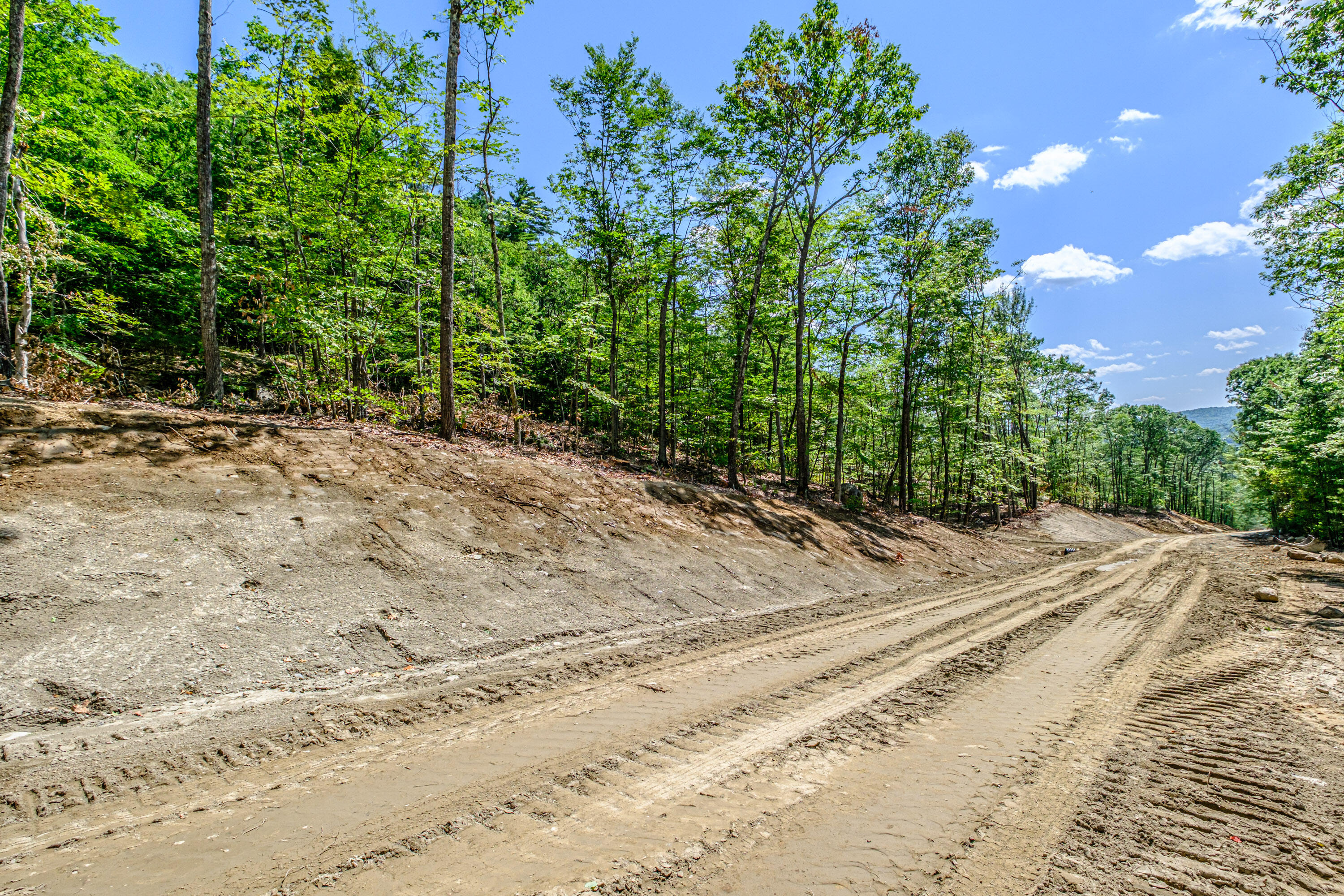 Lot 22 Bear Mountain Road Property Photo 7