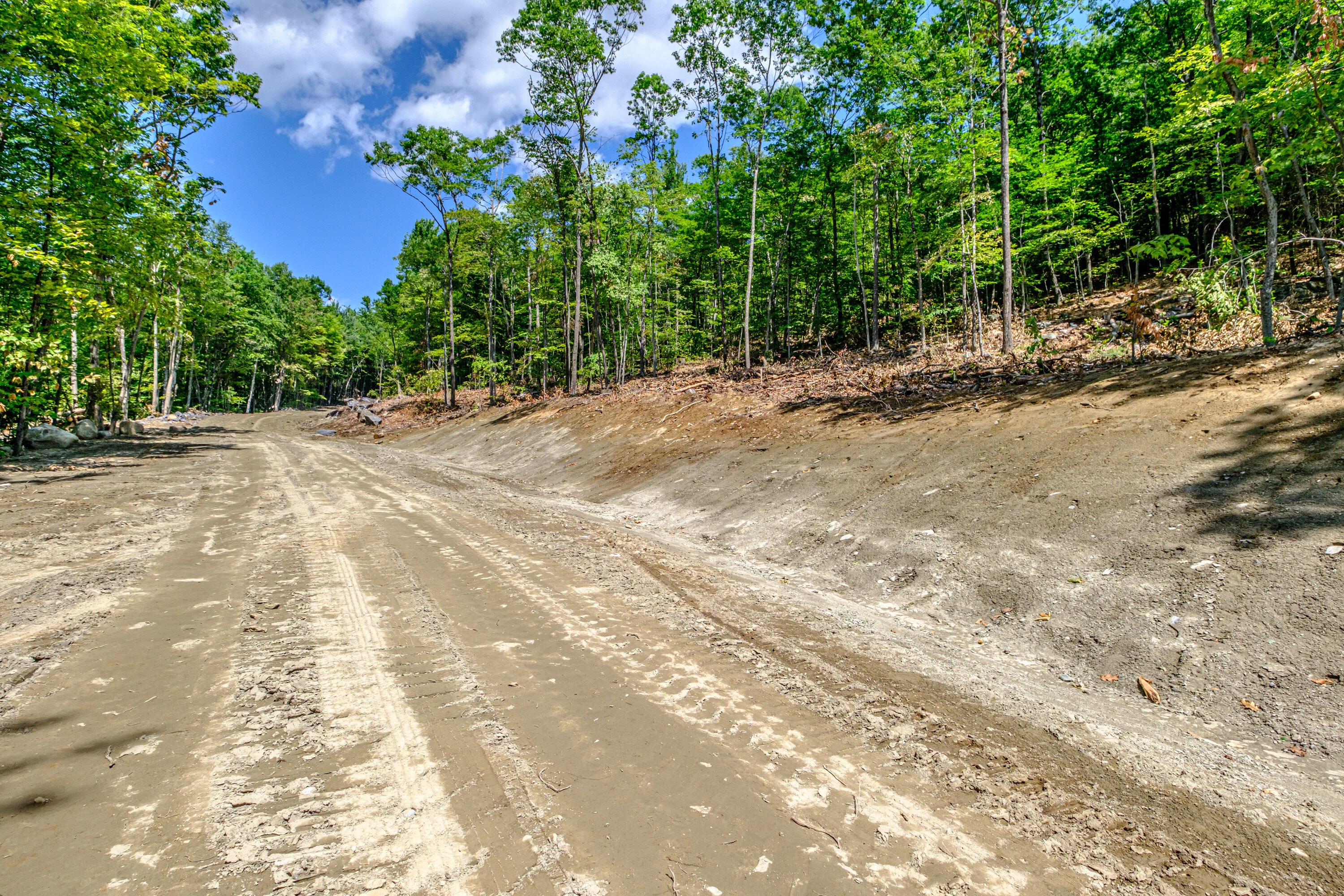 Lot 22 Bear Mountain Road Property Photo 8