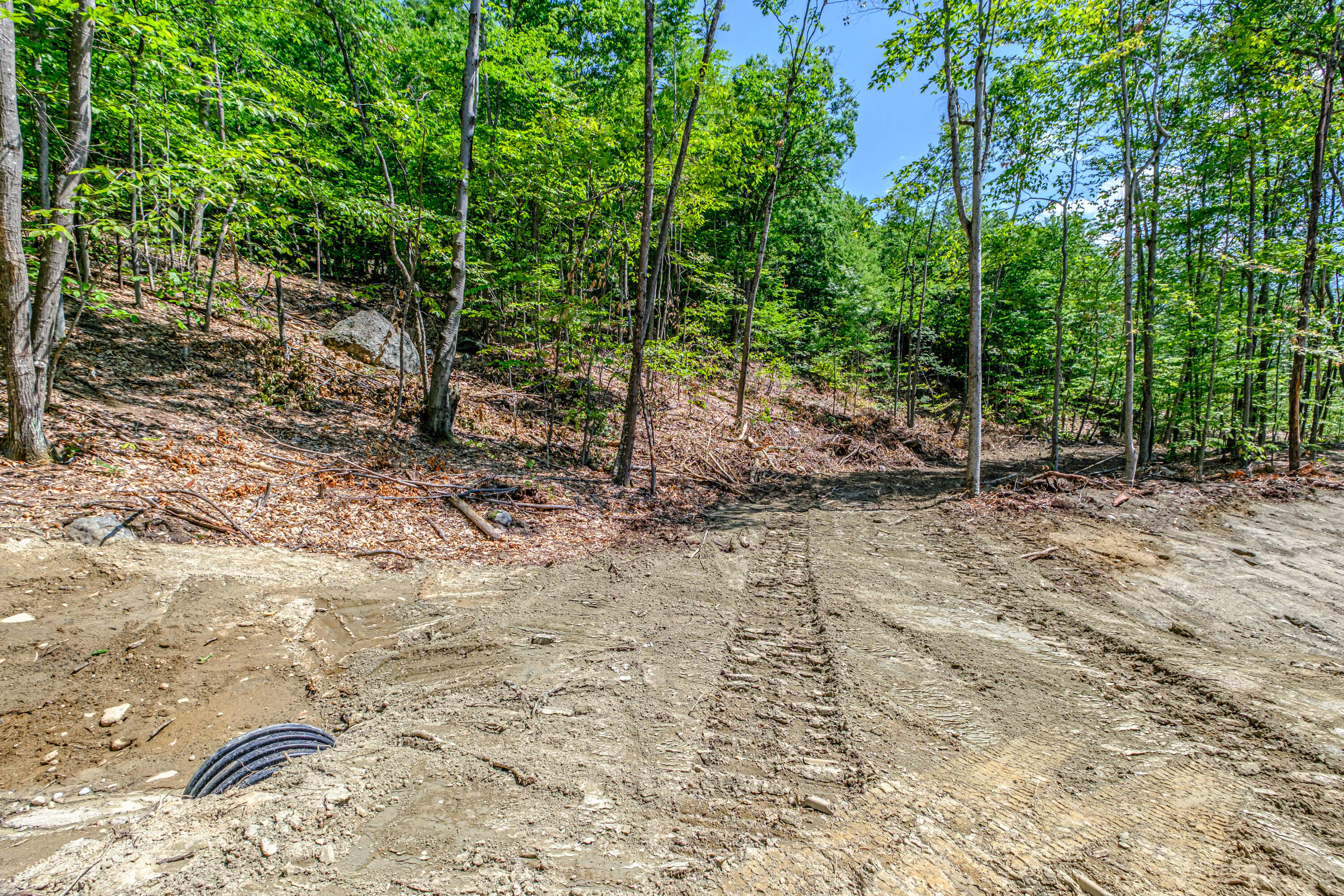 Lot 22 Bear Mountain Road Property Photo 9