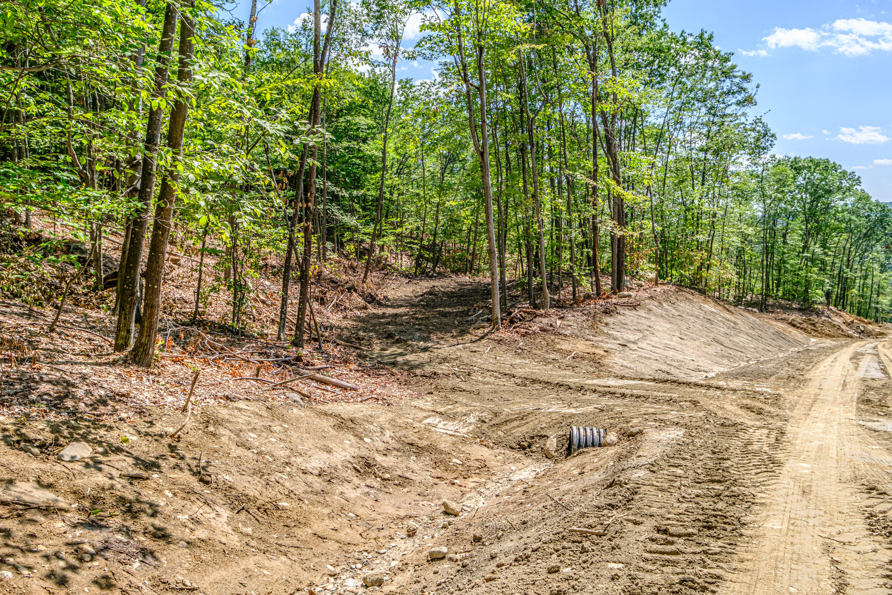 Lot 22 Bear Mountain Road Property Photo 10