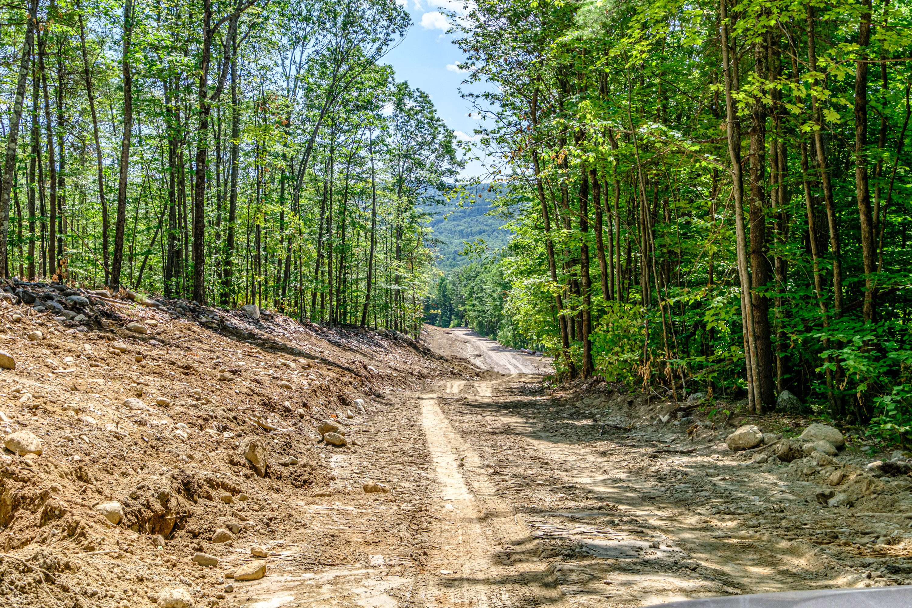 Lot 22 Bear Mountain Road Property Photo 11