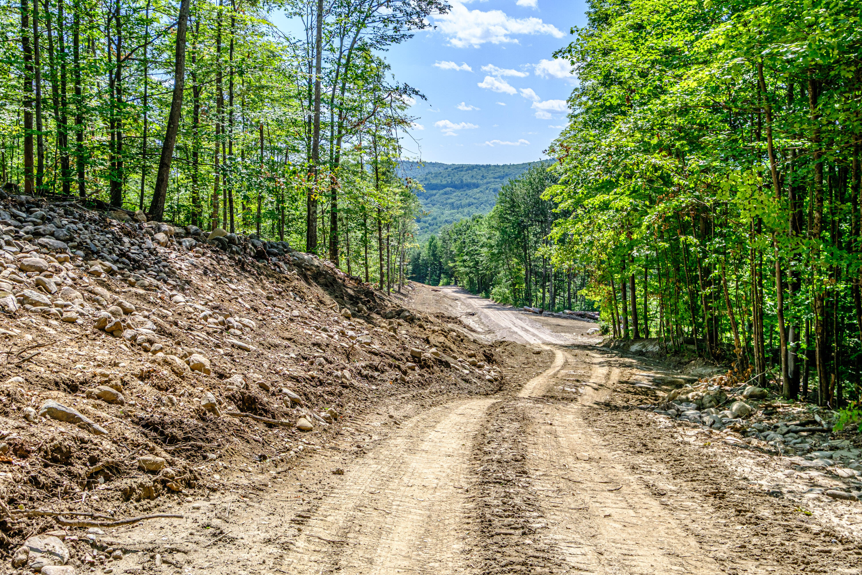 Lot 22 Bear Mountain Road Property Photo 12