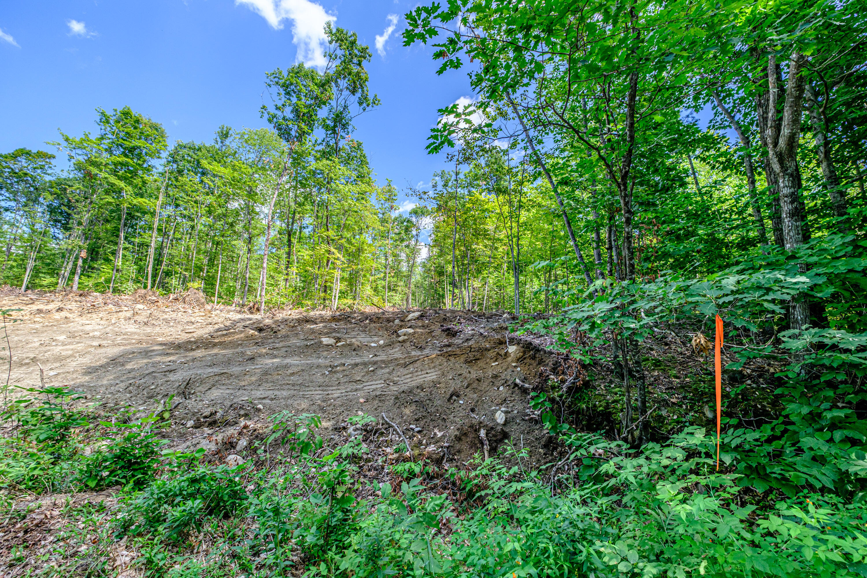 Lot 22 Bear Mountain Road Property Photo 17